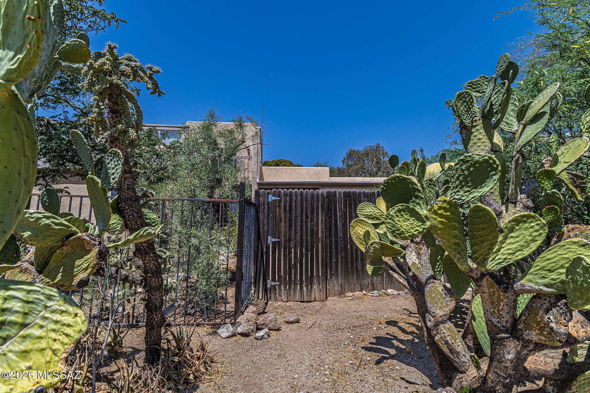 Pima Park (36-80) - Residential