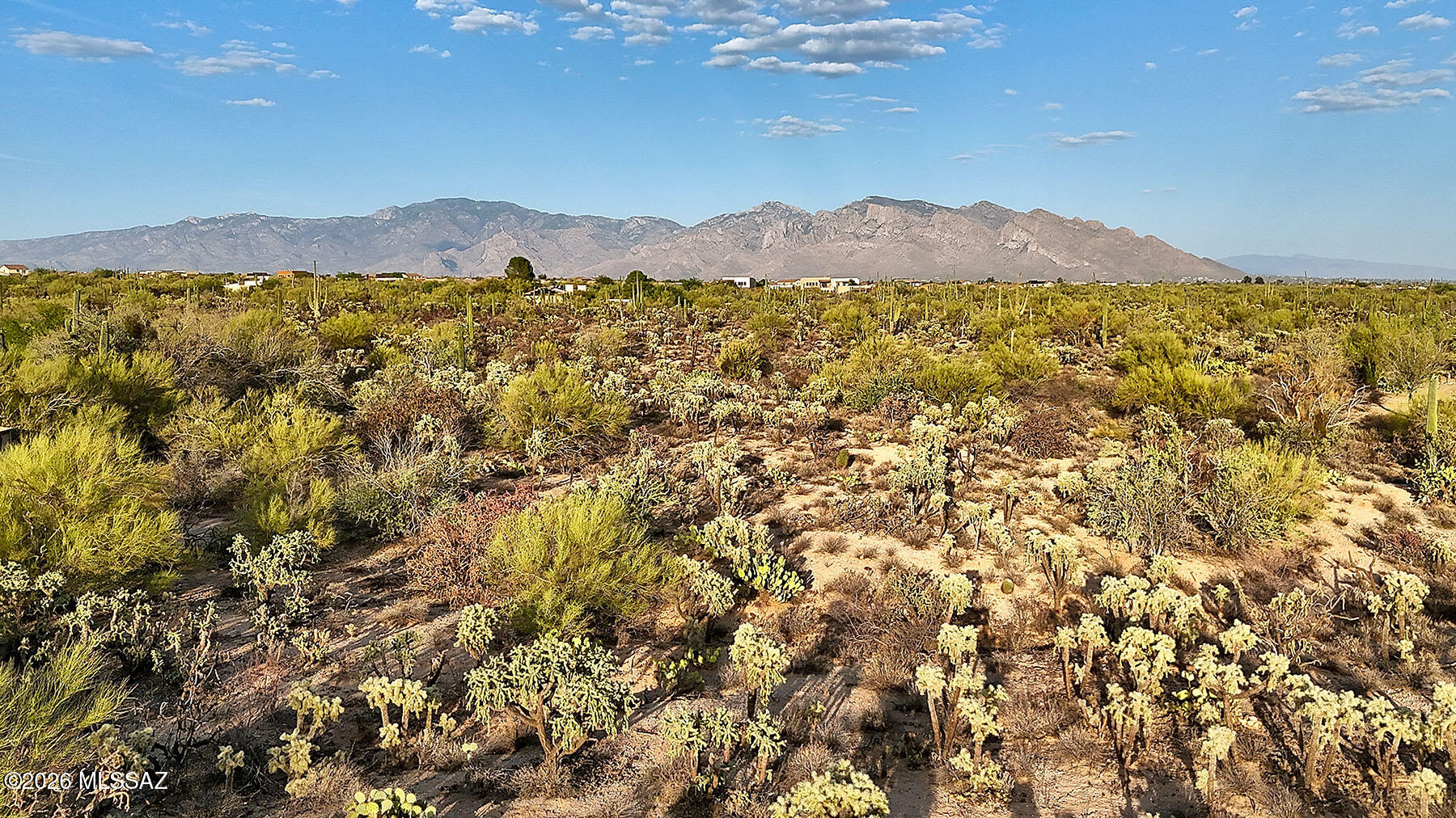 Rare 3.32-acre homesite featuring unobstructed Catalina Mountain views and panoramic mountain vistas in every direction. This flat, SR-zoned parcel is surrounded by majestic saguaros and beautiful Tucson desert vegetation, offering an exceptional setting for a custom luxury estate. Electric is available and there is no HOA, providing flexibility for horses, RVs, garages, and workshops. Enjoy breathtaking Arizona sunrises, spectacular sunsets, and the peace and privacy of Sonoran Desert living. Ideally located on Tucson's desirable Northwest side, just minutes from I-10, shopping, dining, and everyday conveniences. A rare opportunity to own a premier piece of Arizona desert with stunning mountain views.