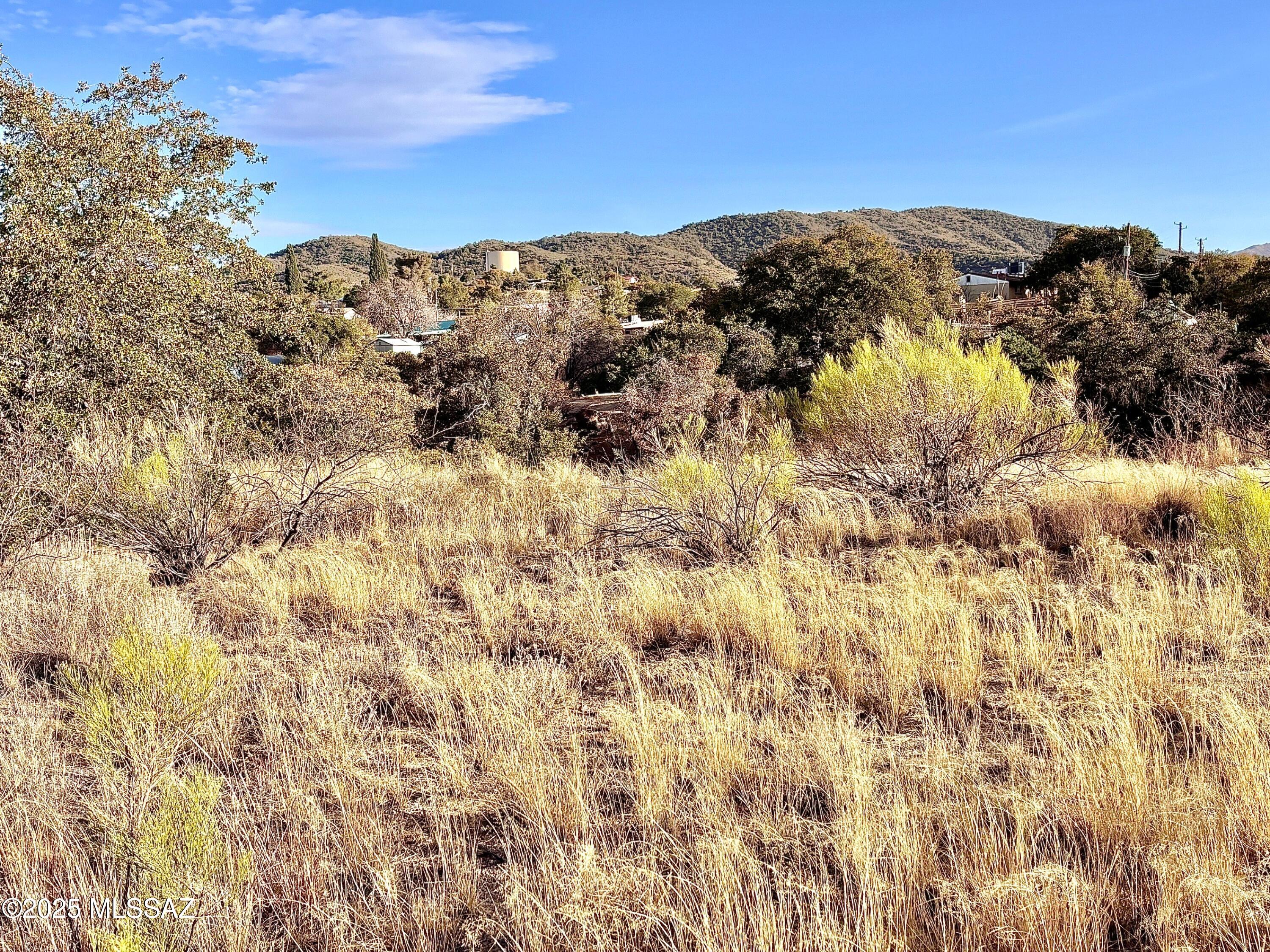 2 FOR 1! You get two surveyed 0.52 acre lots on HILLTOP! Oak trees. Located in the Heart of Oracle, AZ. Paved access! Live the small town lifestyle at 4500ft elevation at the base of Mt Lemmon. Combined 2024 property tax is only 548/yr. 30825230N and 30825230P are included. This site provides a MOUNTAIN VIEW and graded site for your future residence. It was leveled years ago. Driveway has grown in a bit but, it's an easy walk to the top & well worth it for the views! R-2 zoning notes ''conventional home construction'' ask Pinal county for further definition. No CCRs. LOW STRESS BUILD PROJECT! AZ Water, natural GAS, CITY SEWER and SCIP Electric are along the property's street frontage.