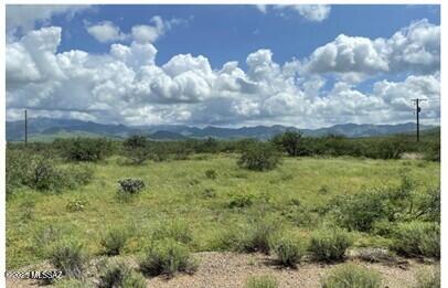 Northeast Rio Rico, Buildable flat land, 0.25 acres, Mt. San Cayetano and Santa Rita Mountain views. Investment property, undeveloped area. Interested Buyers to confirm property and utilities.