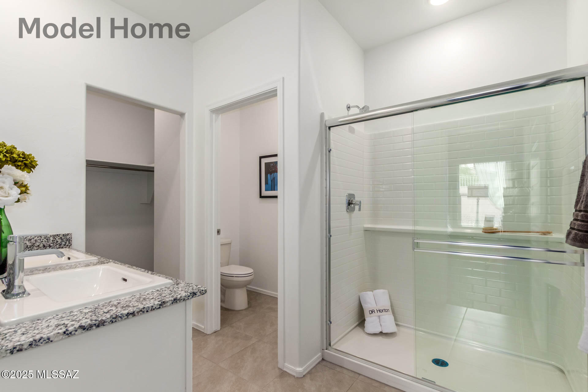 Saguaro Bloom Blocks 5 & 6 - Residential