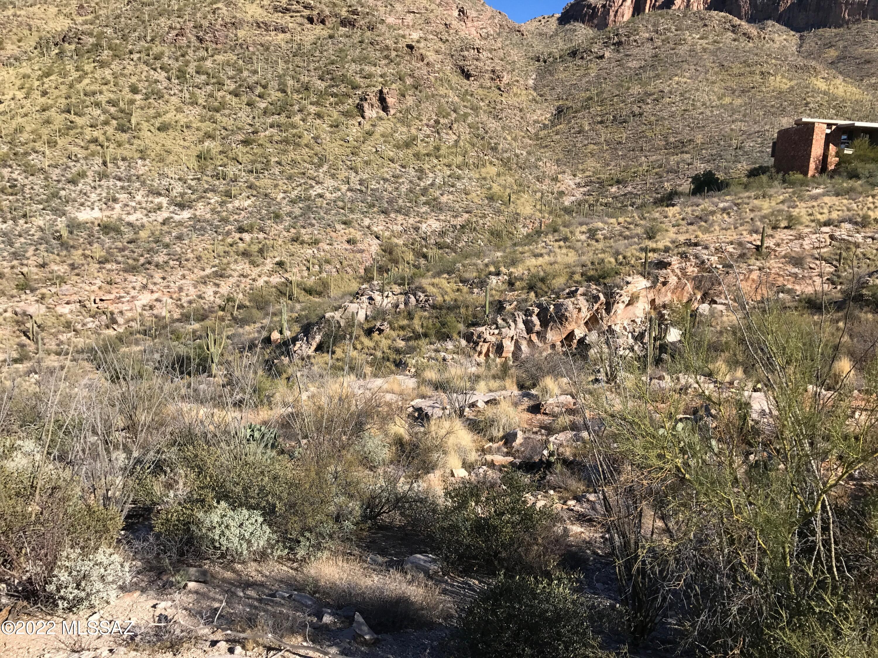 Large (3.3 acres) foothills view lot that backs up to protected national forest. All utilities including sewer are at lot line. Lot has easy building site on solid granite but also has an 60 foot gorge behind that site. Could be a dramatic Tucson version of Frank Lloyd Wright's Fallingwater. Has city water but well share may be available. See survey under documents. Drone video online too but requires your email to send.