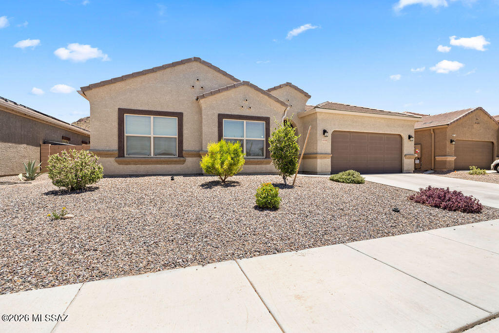 Saguaro Bloom 7B - Residential