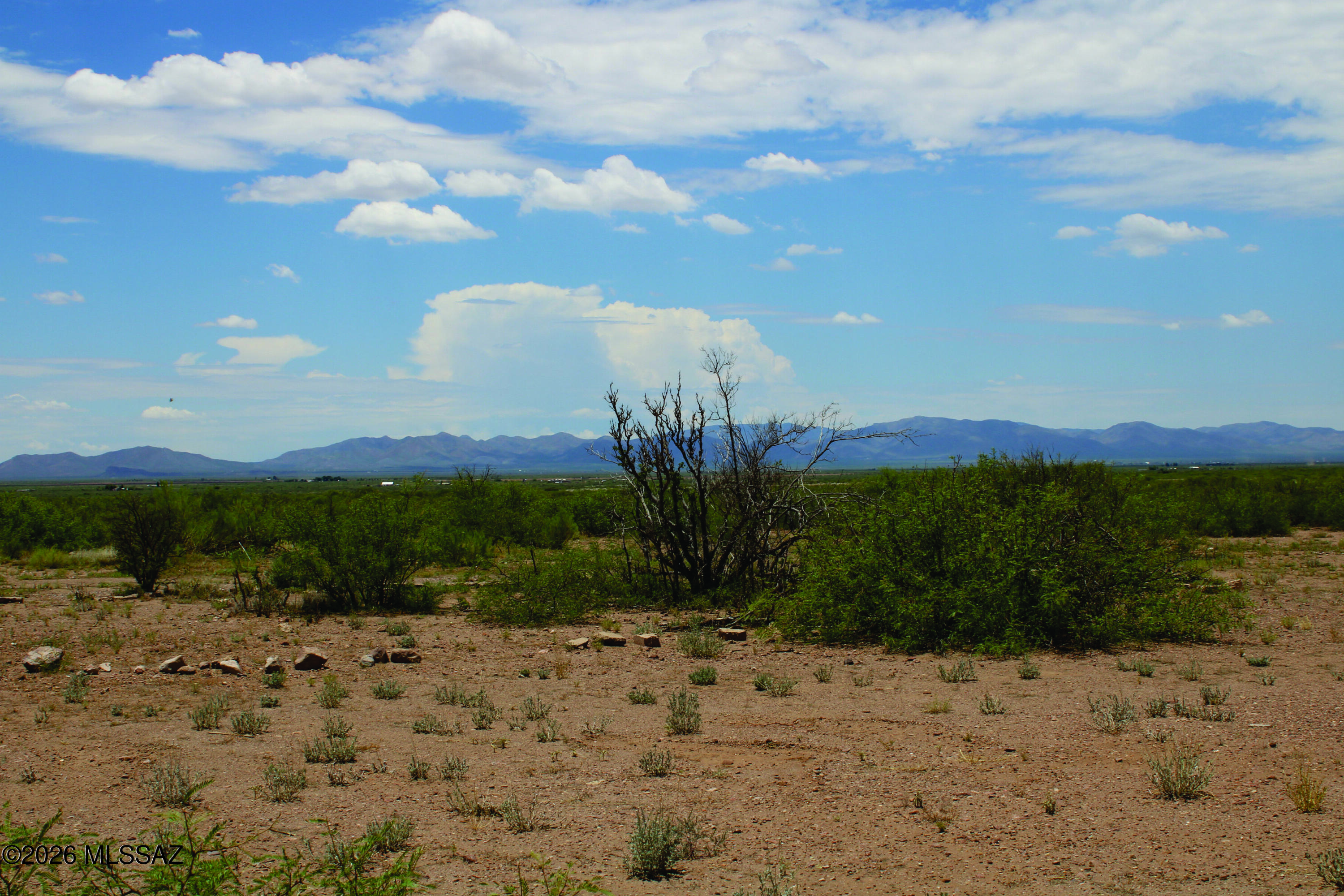 None - Land