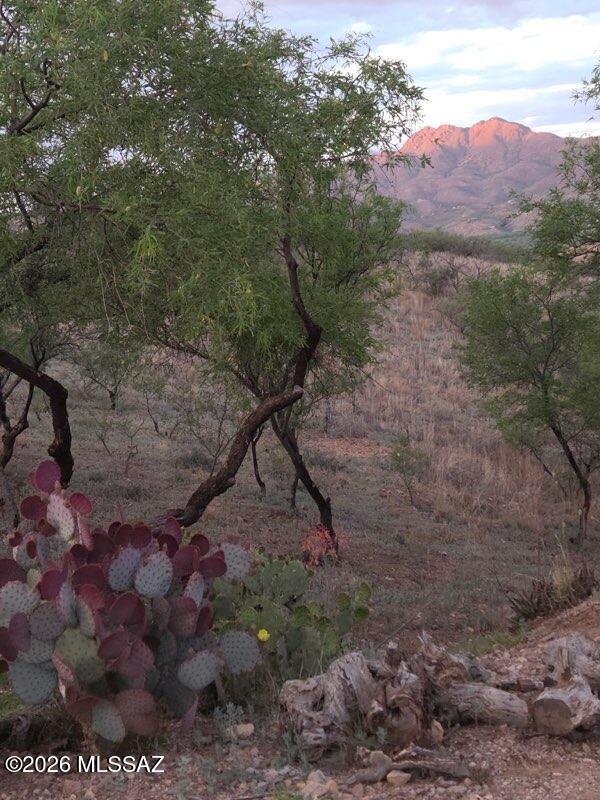 Rio Rico Estates 6 - Residential