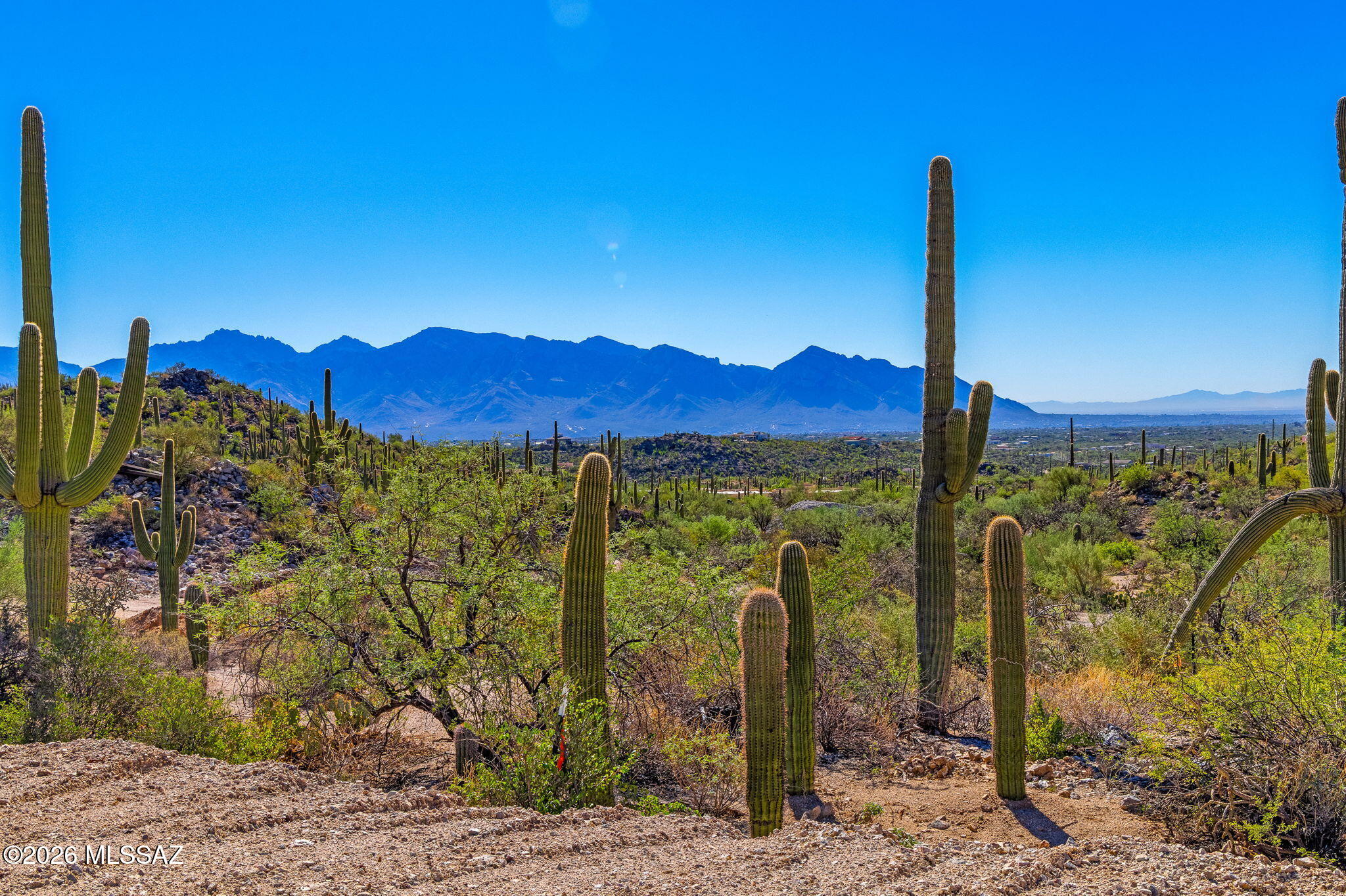 Breathtaking 4.34-Acre Homesite with Immense Views, County-Approved Plans, Shared Well Site & No HOA! Seller is a local builder who offers the opportunity to build the home depicted in the conceptual plans through a separate construction contract. Listing price is for the vacant land only. Discover a perfect blend of serenity, scenery & convenience with this rare parcel offering sweeping panoramic views of the mountains and desert landscape. Nestled just outside prestigious Saguaro Ranch-without the restrictions of an HOA- this open, build-ready lot provides the ideal setting for your dream home. The county-approved builder plans take into account the property's location within the beautiful Tortolita Mountain Buffer Zone, streamlining the building process.