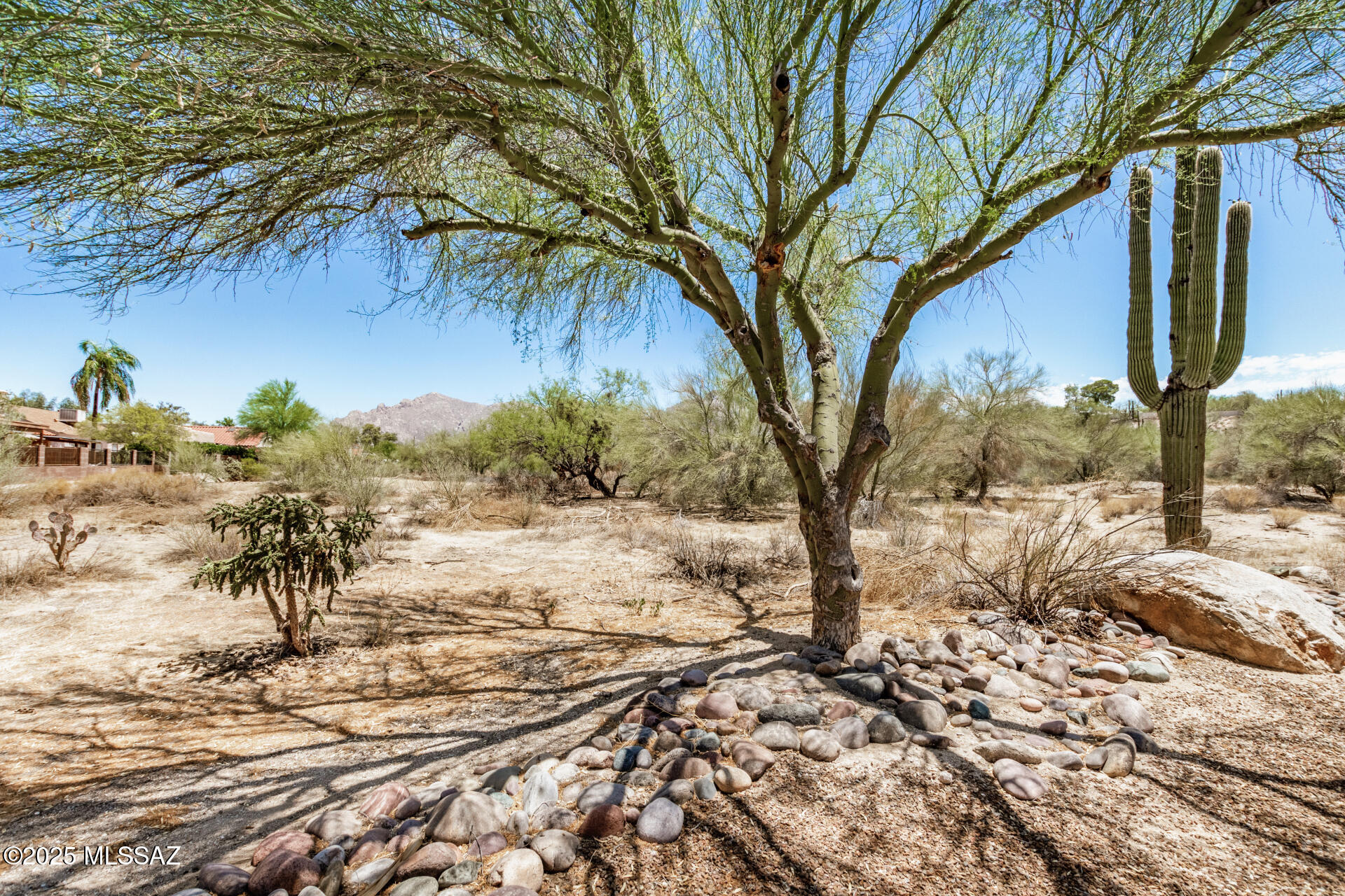 Pima Hollow Patio Homes - Residential