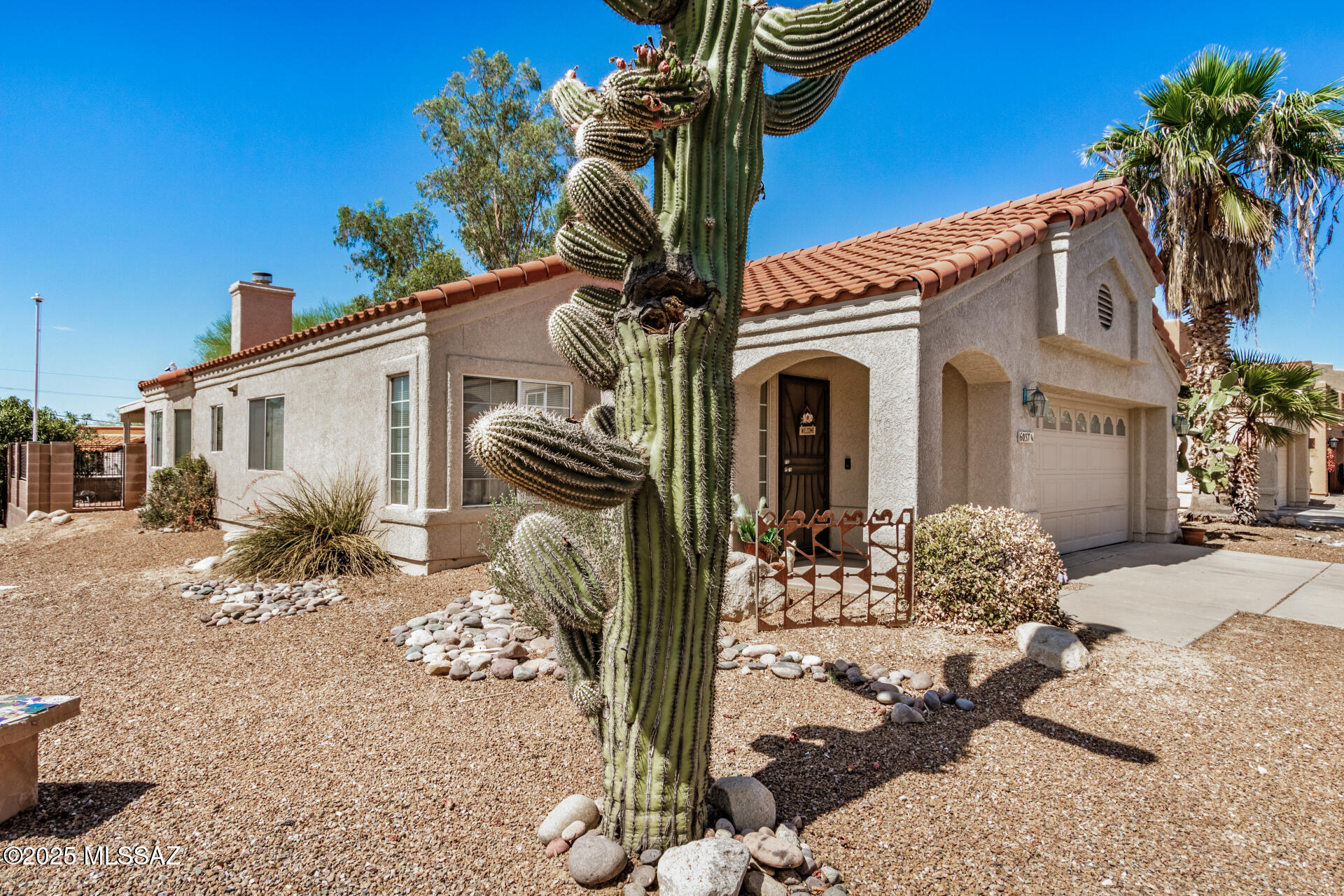 Pima Hollow Patio Homes - Residential
