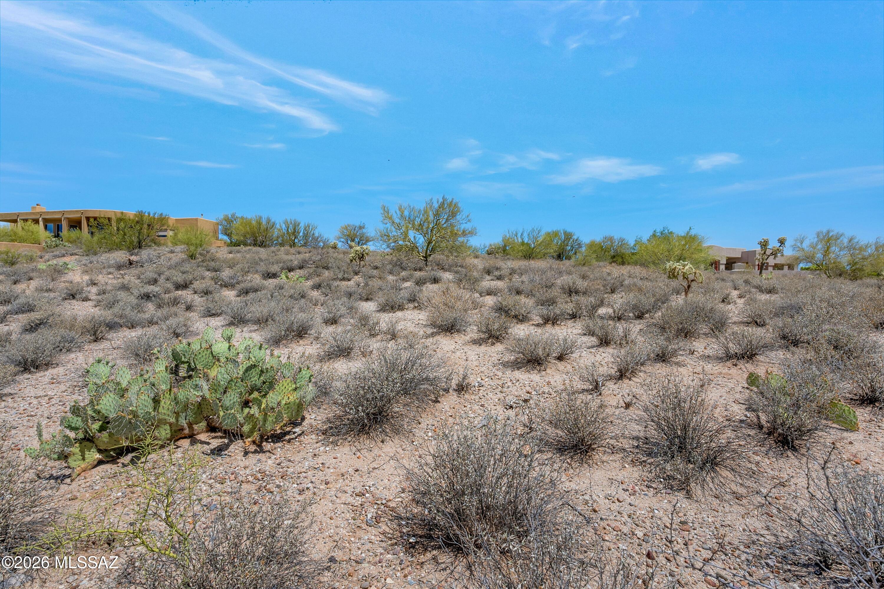 Coyote Ridge (1-109) - Land