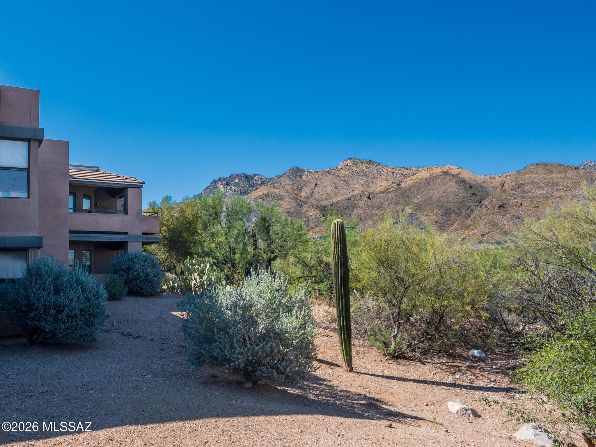 Text for Walkthrough Video/more info. Lovely Ground Floor 947sf Condo in ''Greens at Ventana'' Community. Amenities incl; Split floor plan
w/ 2 spacious bedrooms w/ new carpet; Large covered patio w/ great views of the Santa Catalina Mountains + surrounding Desert plus large
enclosed storage on the patio; Fireplace w/ insert for ambiance of electric with heat or wood burning. Located directly across from 1 of three
pools w/ Mountain Views. HOA covers water, sewer, trash and roof maintenance. Located in the Ventana Area close to restaurants,
shopping, hiking trails, golf and schools. 1yr minimum Lease. Costs incl; non-Refundable $50/adult application, $1775 Security Deposit,
$250 Cleaning, $150/pet with approved pet. Tenants pay Electric Only.