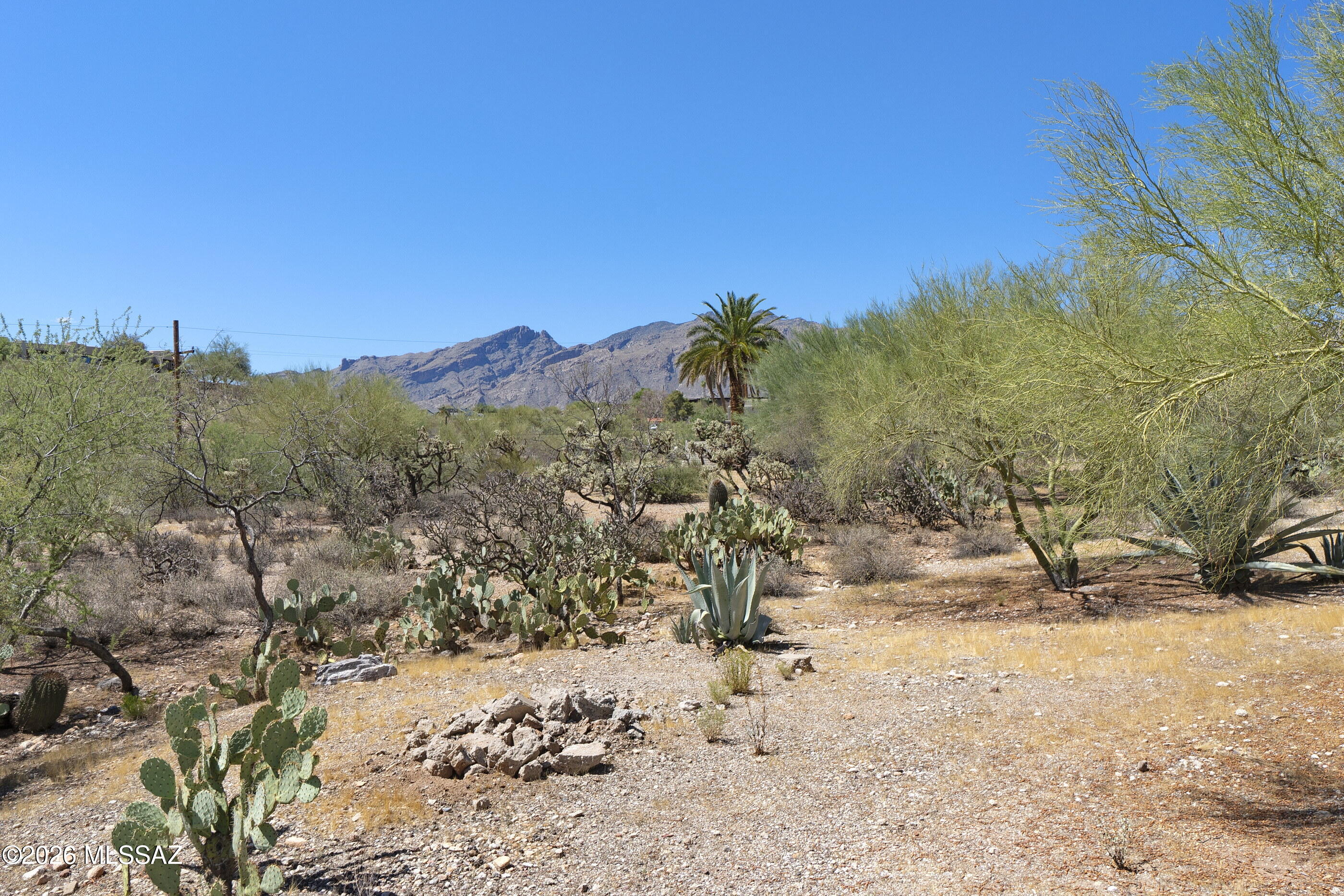Flecha Caida Ranch Estates #8 - Residential