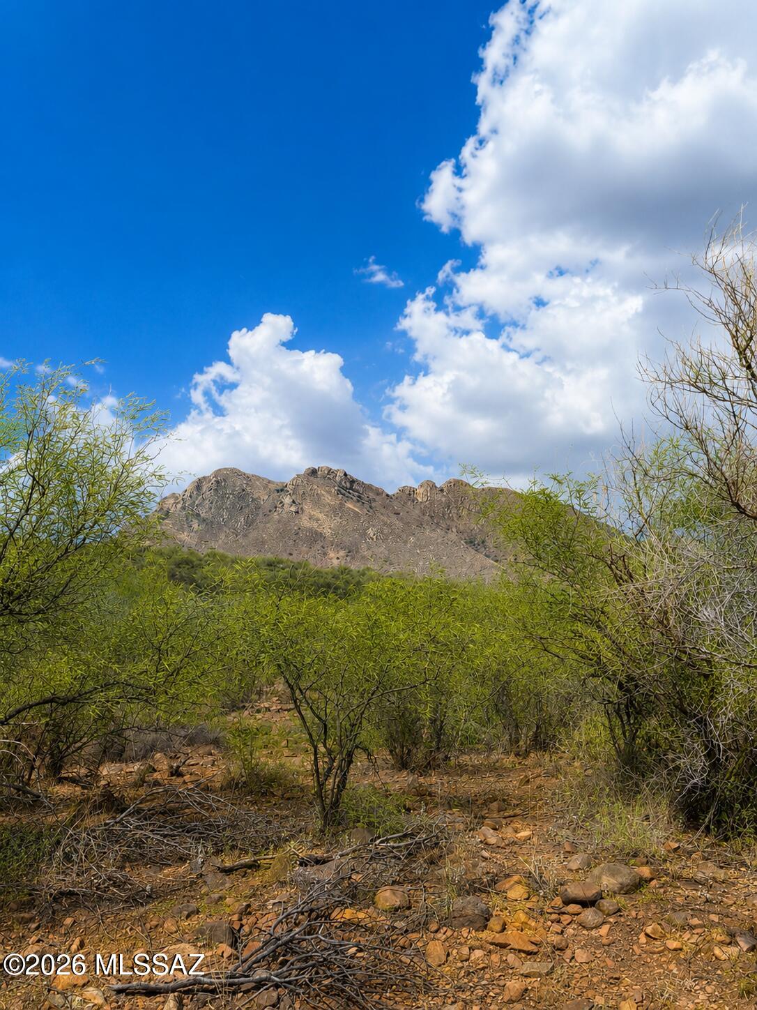 Rio Rico Ranchettes 17 - Land