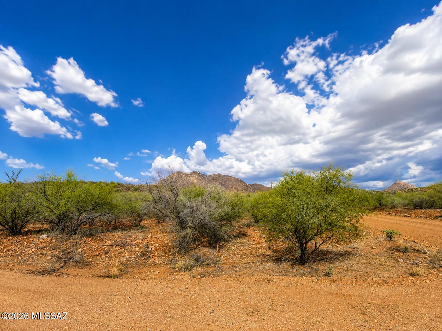 Rio Rico Ranchettes 17 - Land