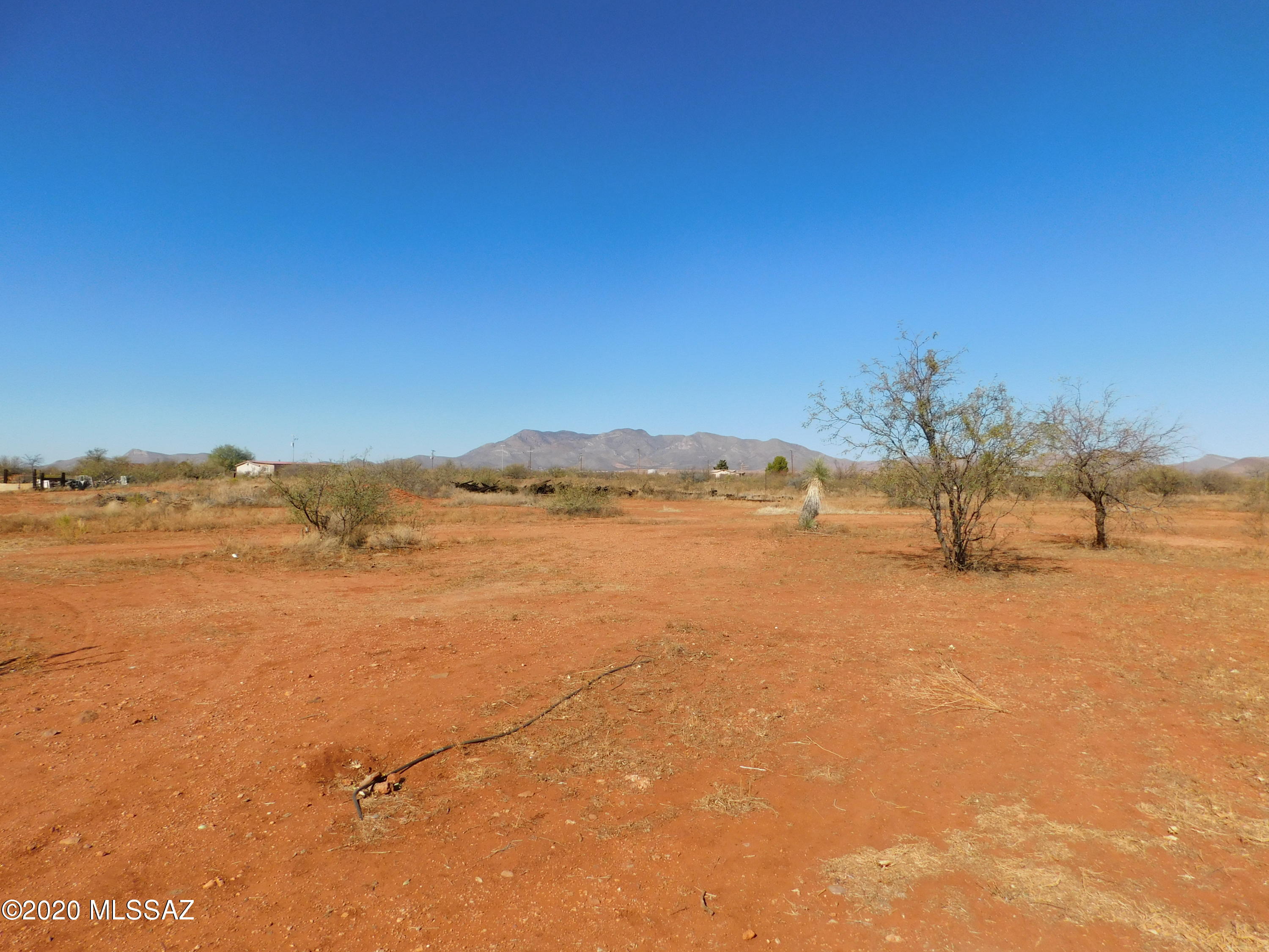 Out Of Pima County - Farm