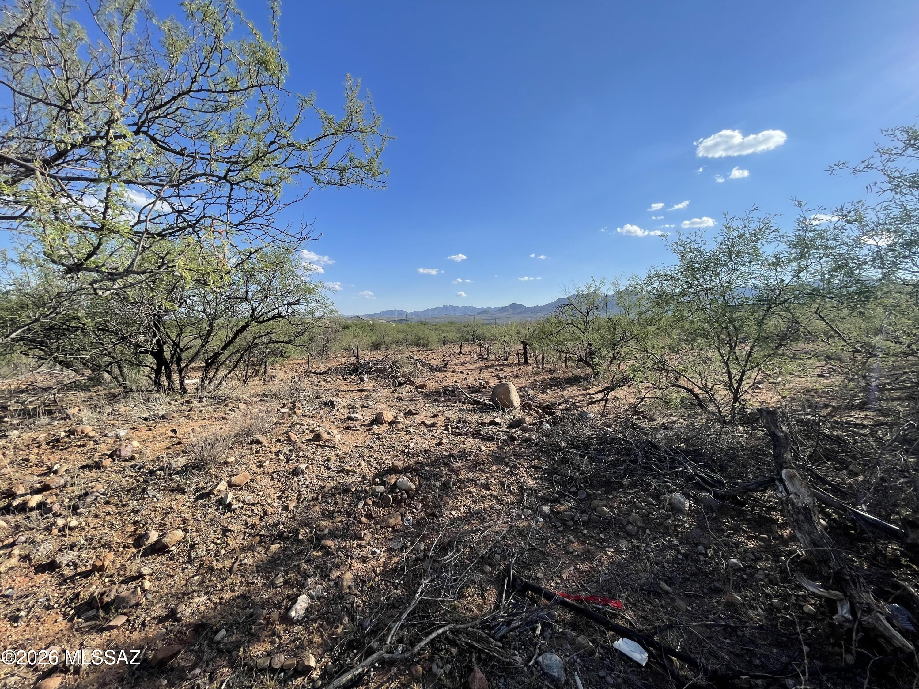 Rio Rico Villas 11 - Land