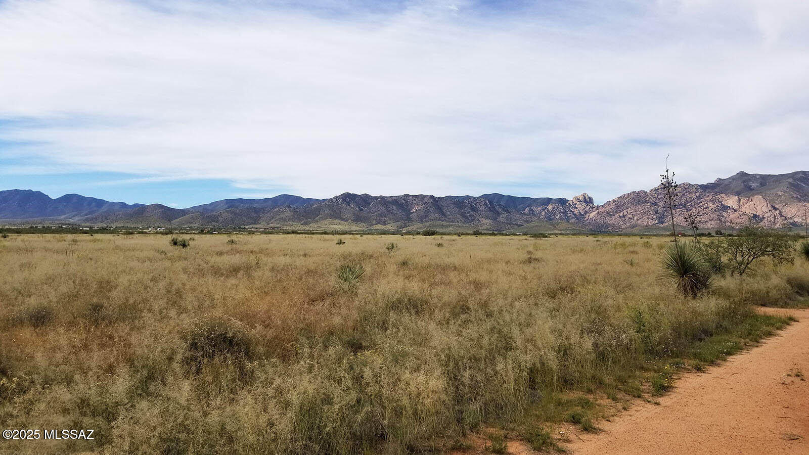 Corner lot located just one block east of county-maintained Desert Rd. Easy access from Warner Street. Only 1/2 mile from paved Ironwood Rd. Quiet and secluded location to build a country home or off-grid dream project. Flat & clear for building. Impressive views of the Dragoon Mountains and just minutes from Cochise Stronghold. Zoned SR-43, site built homes. Drill well, catchment or haul water. Central Cochise County is home to a variety of wonders, making it popular for birders, history buffs, hikers, and rock climbers. This lot is at 4,600 feet in elevation so the area is mild in summer, making it ideal for vineyards and many other crops. Escape the chaos of the city and stake your claim in the tranquility of this beautiful high desert.