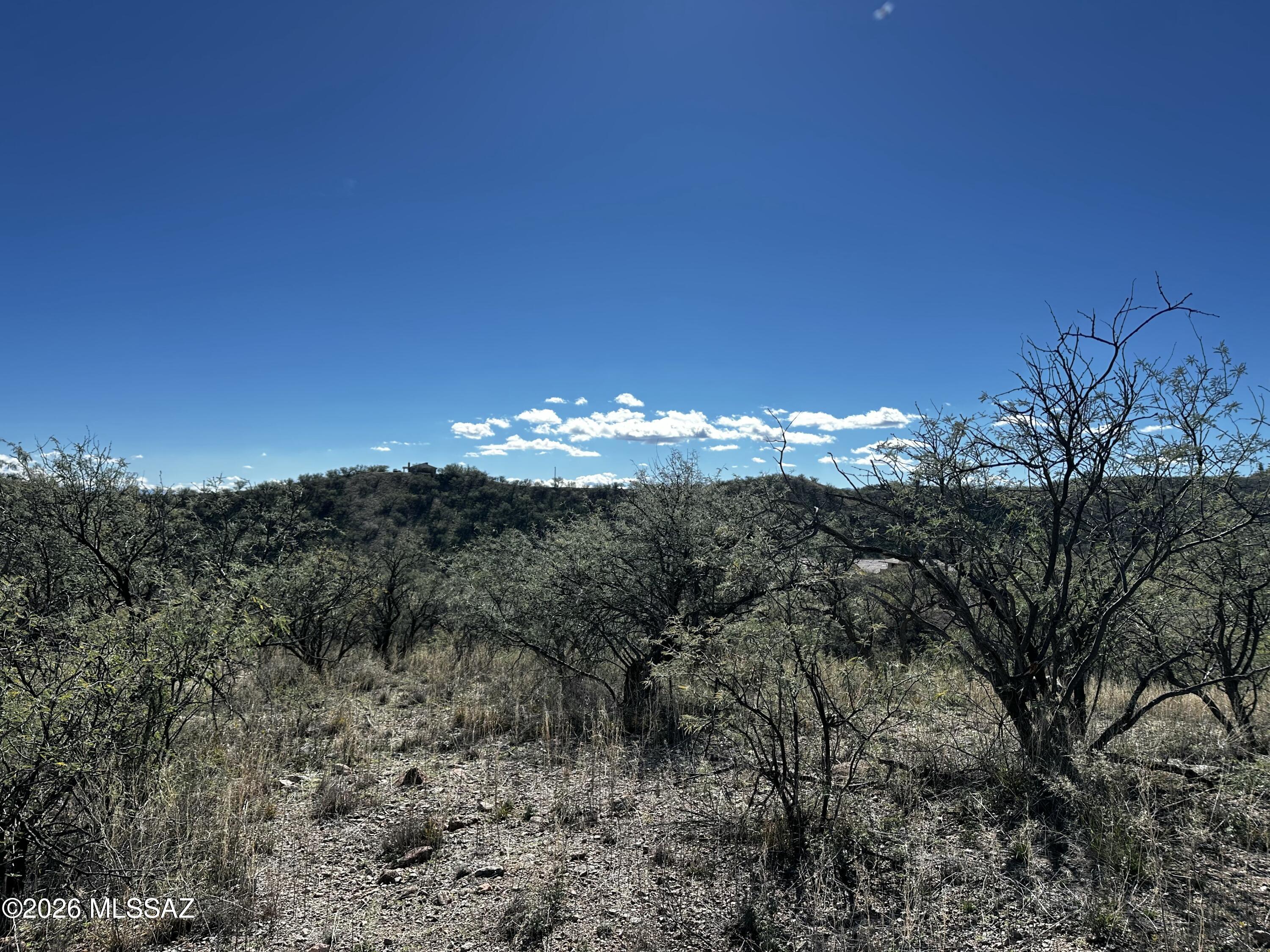 Rio Rico Estates 9 - Land