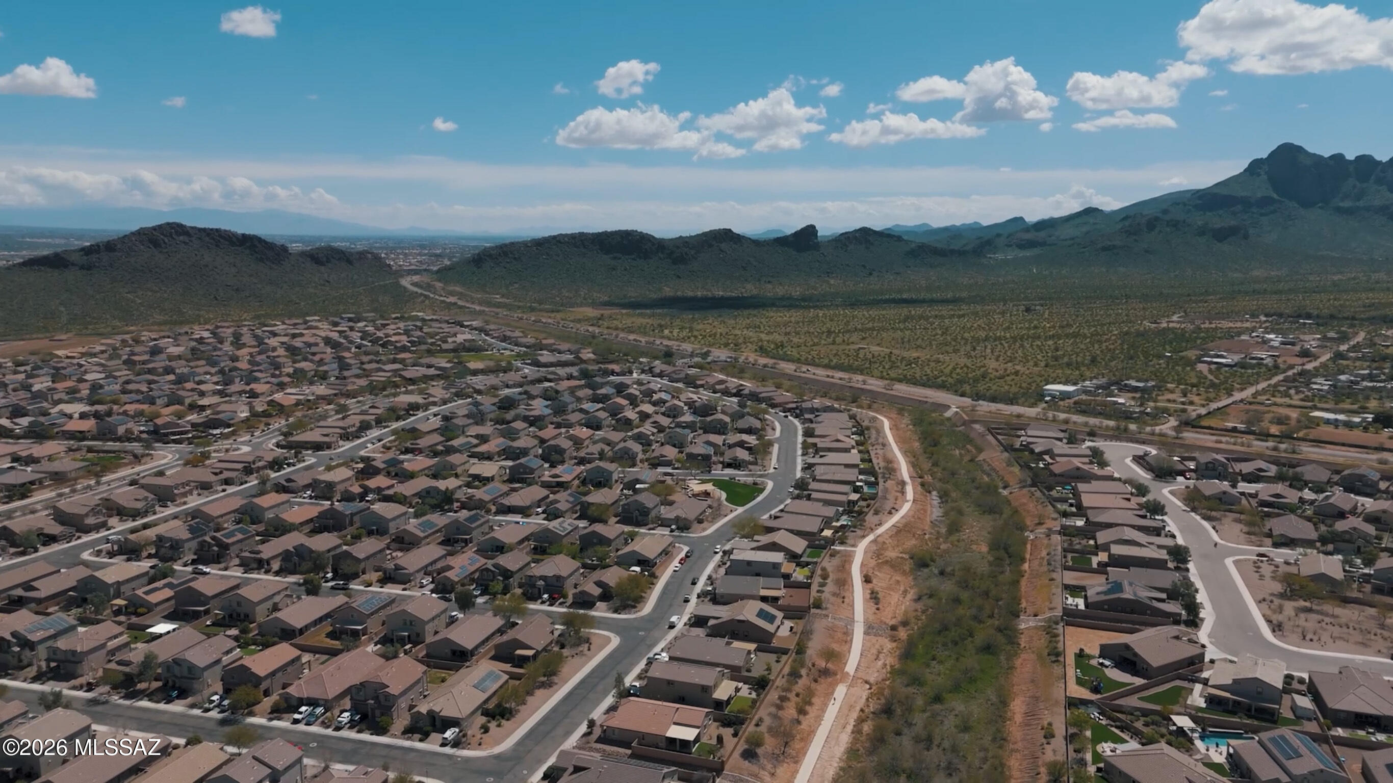 Saguaro Bloom SQ20180540069 - Residential