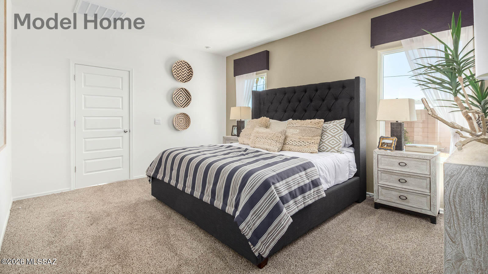 Saguaro Bloom SQ20180540069 - Residential
