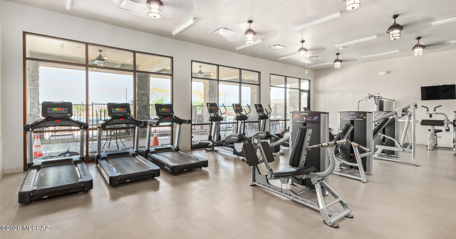 Saguaro Bloom SQ20180540069 - Residential