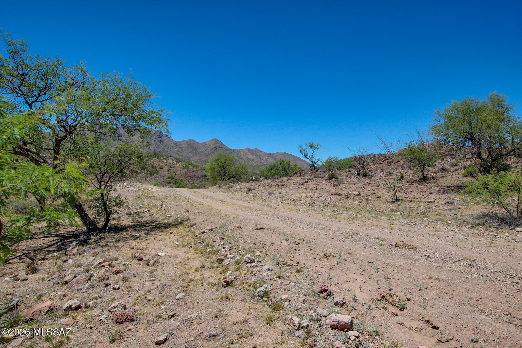 Salero Ranch - Land