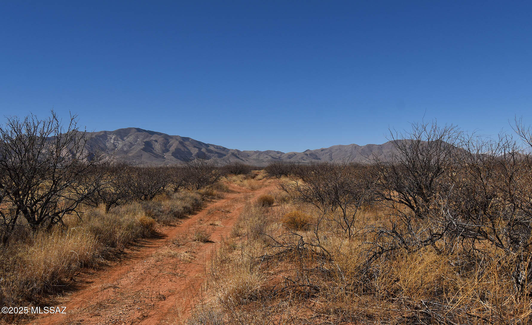 Arizona Sun Sites - Land