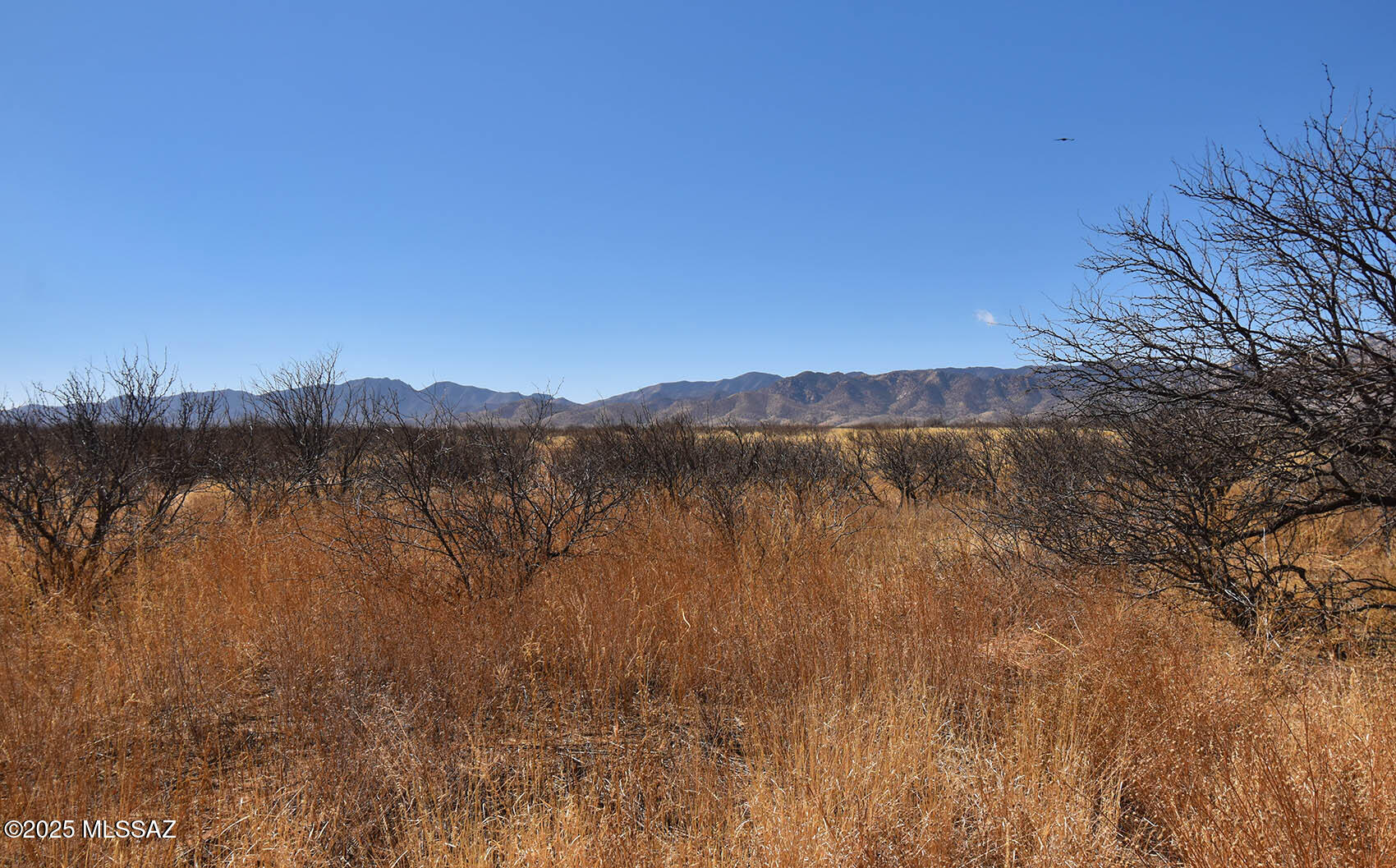 Arizona Sun Sites - Land