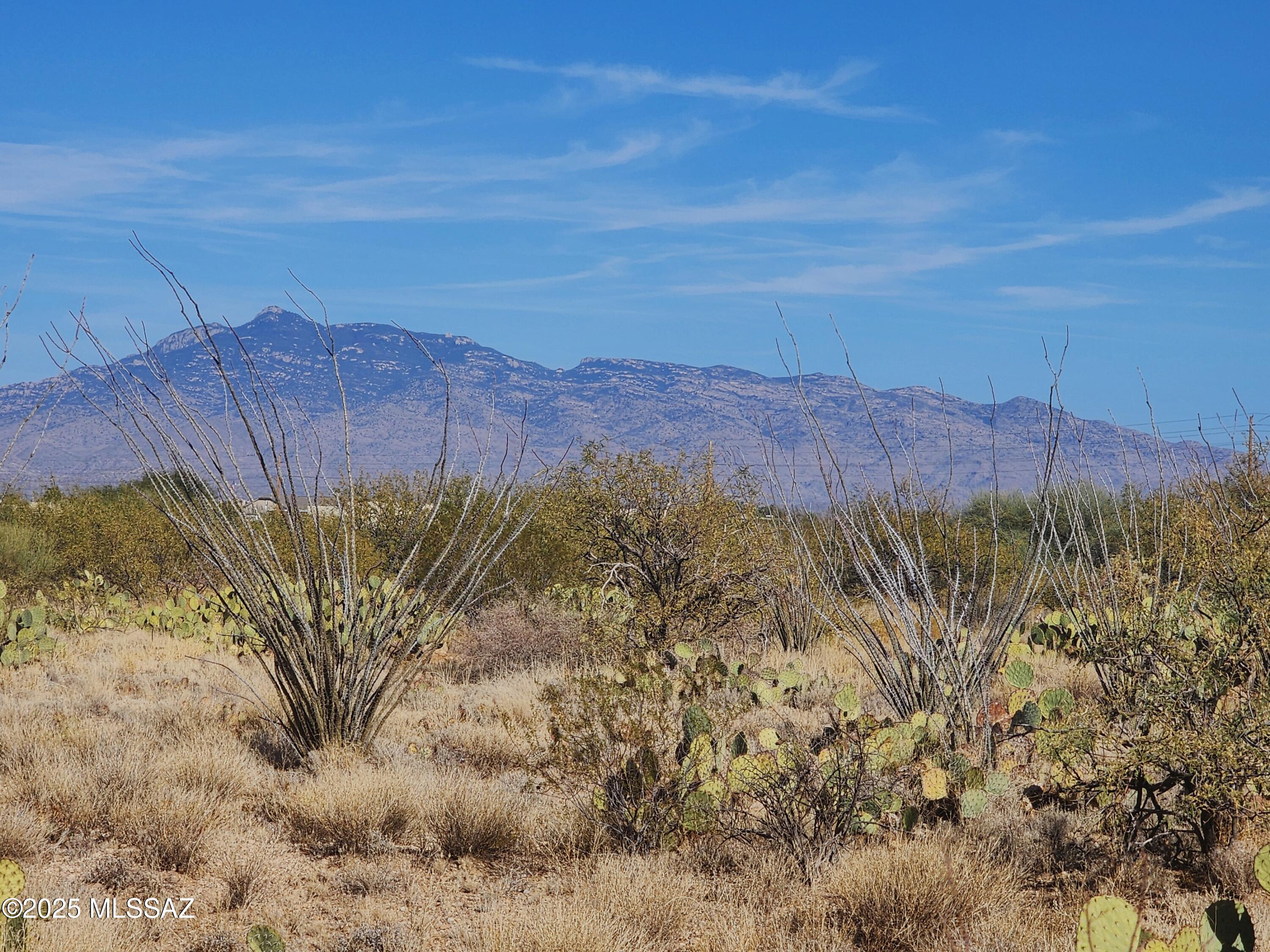 Gorgeous, flat lot in Vail! 1.14 acres with amazing views in all directions! Build your dream home and spread out on this large lot. Stunning Santa Rita/Corona Foothills views to the south & sweeping views of the Rincons & Catalinas to the north. Beautiful, peaceful setting & excellent horse property potential. Great location just north of Sahuarita Rd & in the award-winning Vail School District. Staked & flagged/Boundary Survey completed 2/11/2025. Trico access +/-400' to the north near Clausen Pl. Please contact Trico directly for info on distance. It's more cost effective to drill a well than to connect to Vail Water. CR-1 Zoning allows temporary trailer/MFG during construction & 1 large animal/10,000'. This is a great opportunity to invest in your own slice of heaven in the desert!