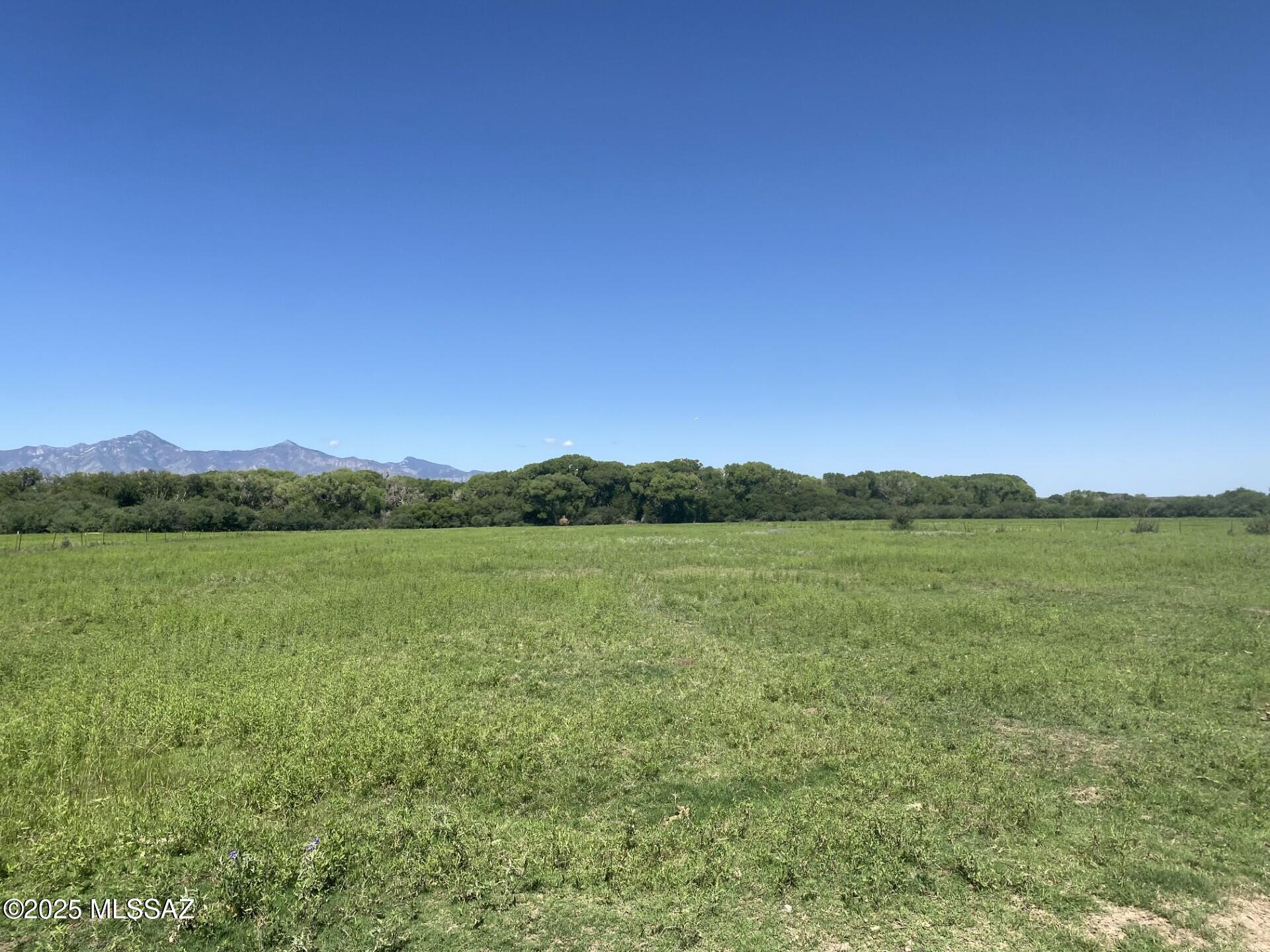 A unique offering on a historic Southern Arizona Ranch. The 100+ year old family owned Rancho Del Rio San Pedro is available for sale. This 1150+/- acre ranch features San Pedro Riverfront acreage with a 3 BR 2 BA home, a pond side 1BR 1BA cottage, hay and equipment storage, ponds, irrigated fields, a small craft landing strip and hangar, 955+/- acres of pastures and 2000+ acres of leased AZ grazing rights. This offering also includes parcels 10483005, 10434005, 10440001, 10439002A, 10439002D, 10439001A, 10202001, 10439002B, 10439002C. Water rights have been secured. Ranch, farm  or create your own oasis. Pictures coming soon! Call for showing.