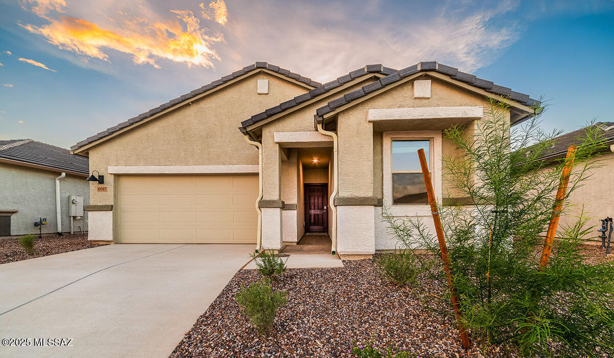 Saguaro Bloom SQ20180540069 - Residential