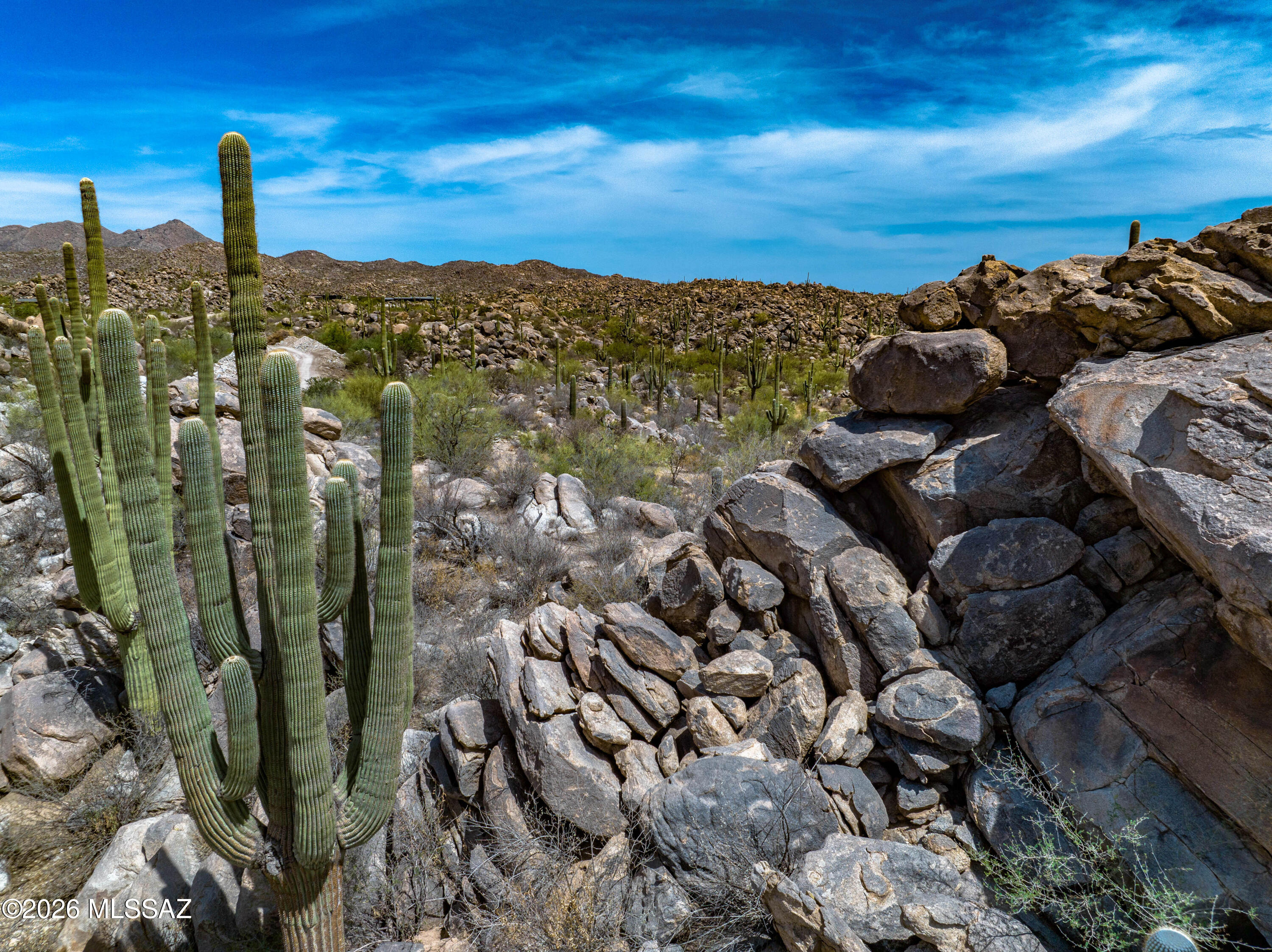Stone Canyon VIII (486-602) - Land