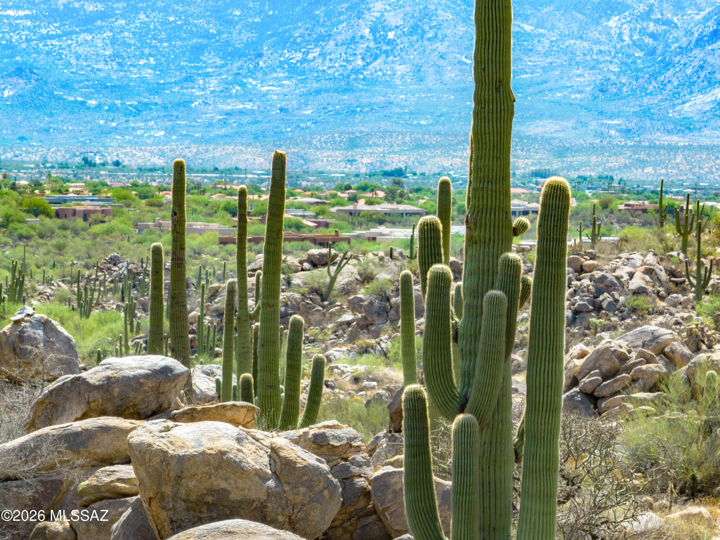 Stone Canyon VIII (486-602) - Land