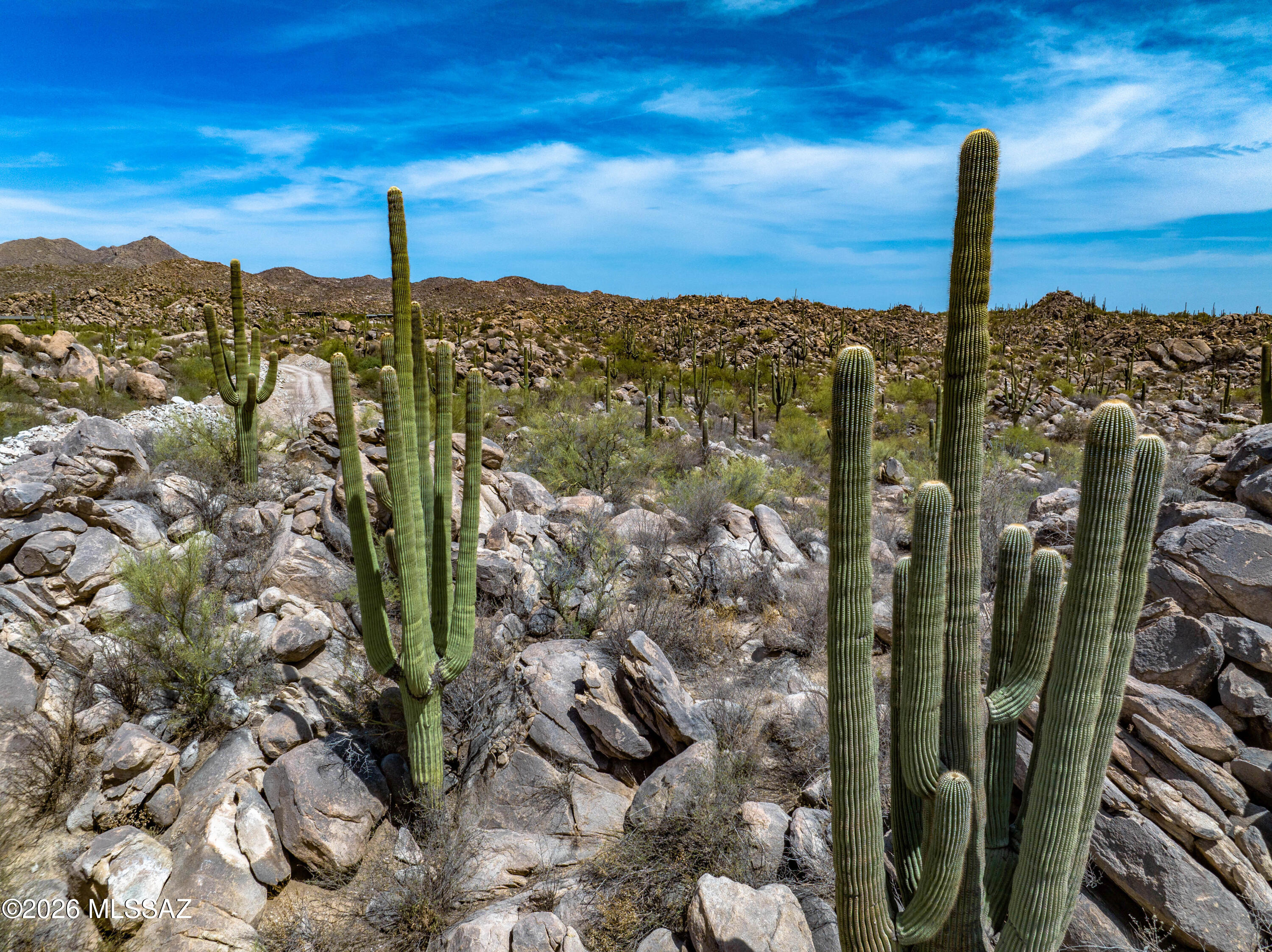 Stone Canyon VIII (486-602) - Land