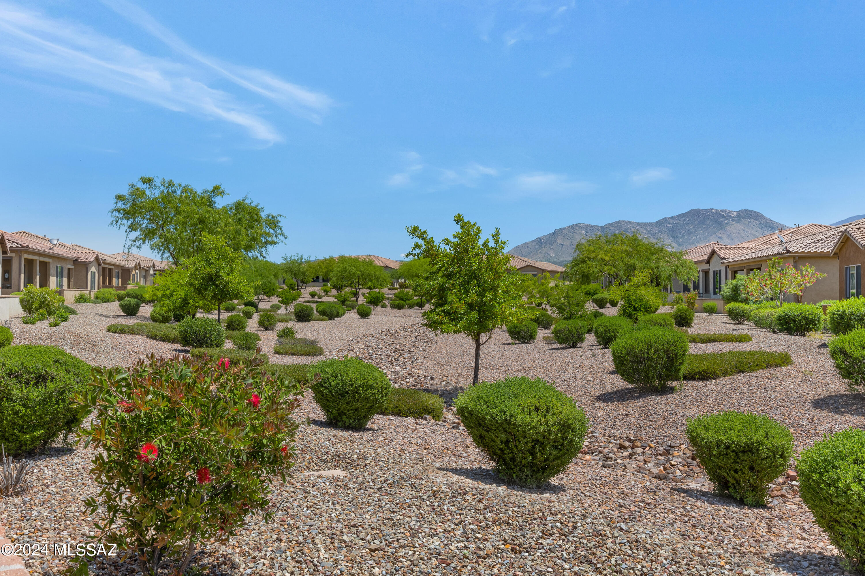 Saddlebrooke - Residential Lease
