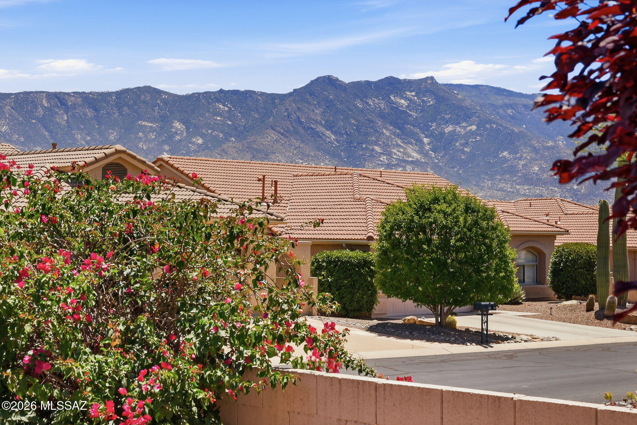 Saddlebrooke - Residential