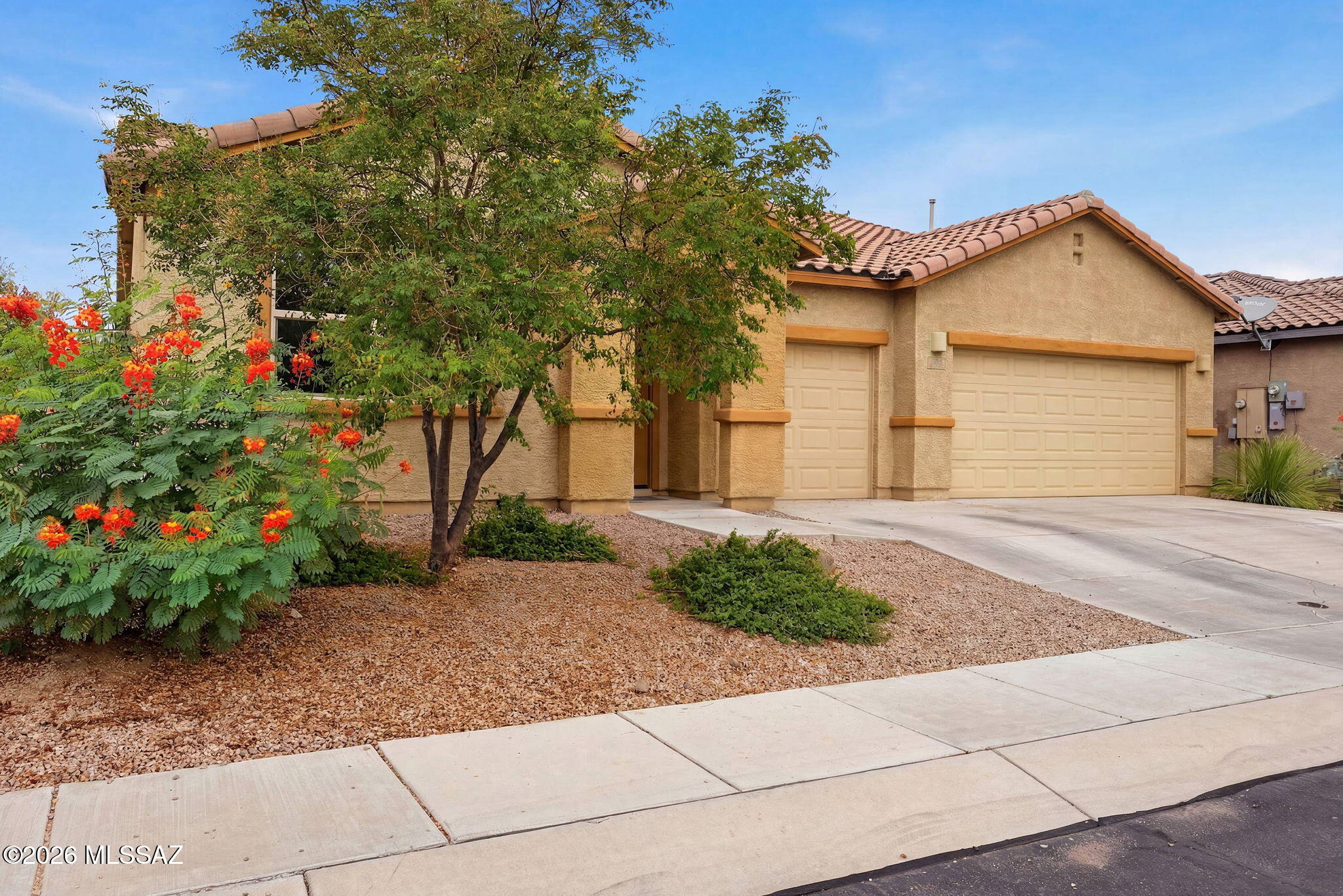 Welcome to the highly sought-after Dolce floor plan by Meritage Homes! This spacious 2,631 sq. ft. one-story home is perfectly situated on a premium cul-de-sac lot with no side or rear neighbors, offering exceptional privacy. Located in the award-winning Continental School District, this home features 4 bedrooms, a versatile bonus room, and 2.5 bathrooms. The open-concept design is ideal for both everyday living and entertaining, while the 3-car garage provides plenty of room for vehicles and storage. Step outside to your private backyard retreat featuring a sparkling pool, covered patio, and plenty of space to relax or entertain. Conveniently located near parks, shopping, dining, and I-19, this exceptional home offers the perfect blend of space, privacy, and Arizona living.