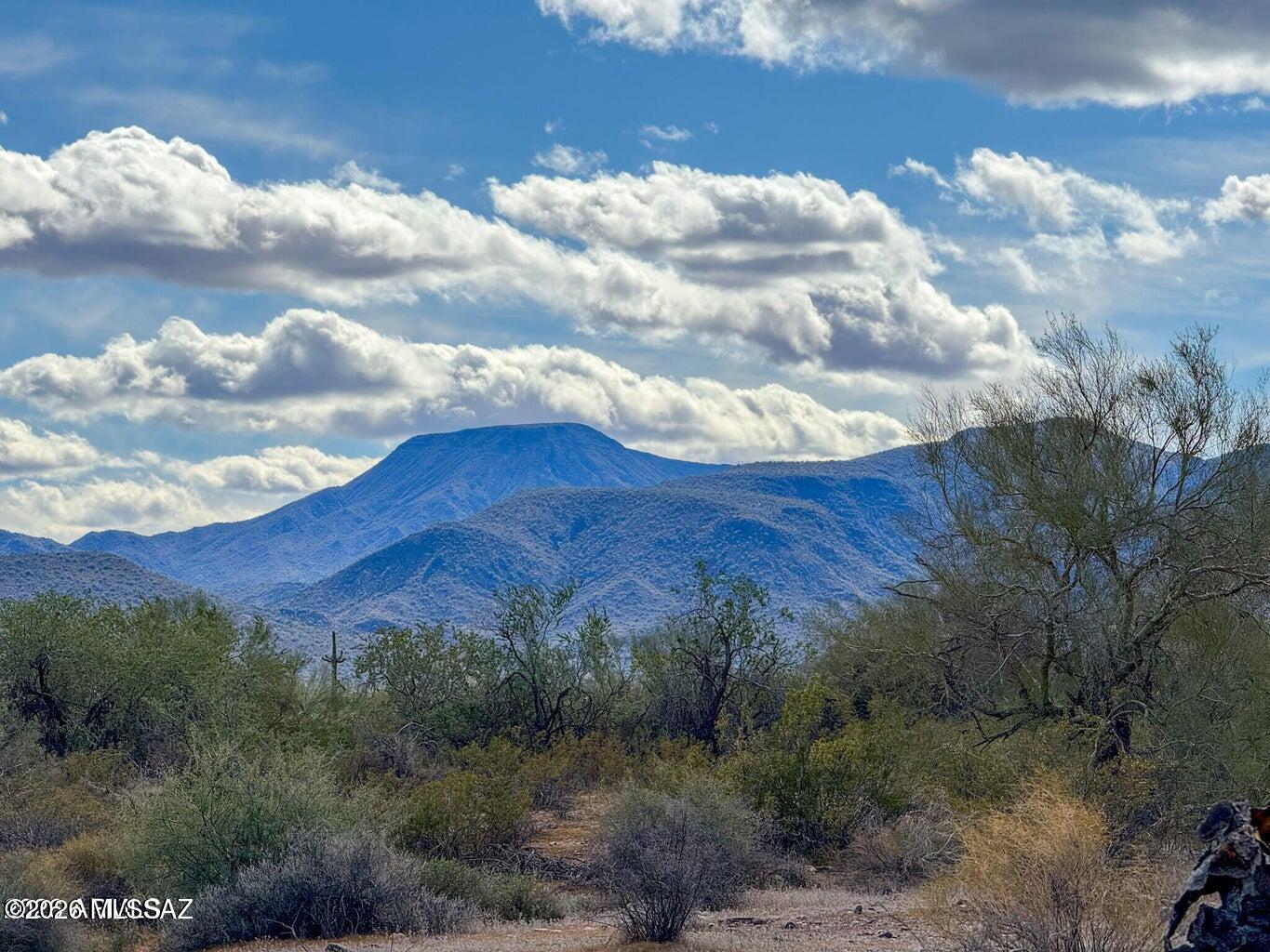 Very private, 1.67 Acres, surrounded by mountain views and with no HOA or CC&R's to limit you. Tons of solitude, starry night skies, tall saguaros and mesquite trees all come with this desert property. Amenities are just a short drive to town. Additional Acreage is available. SELLER FINANCING AVAILABLE. Survey split in process