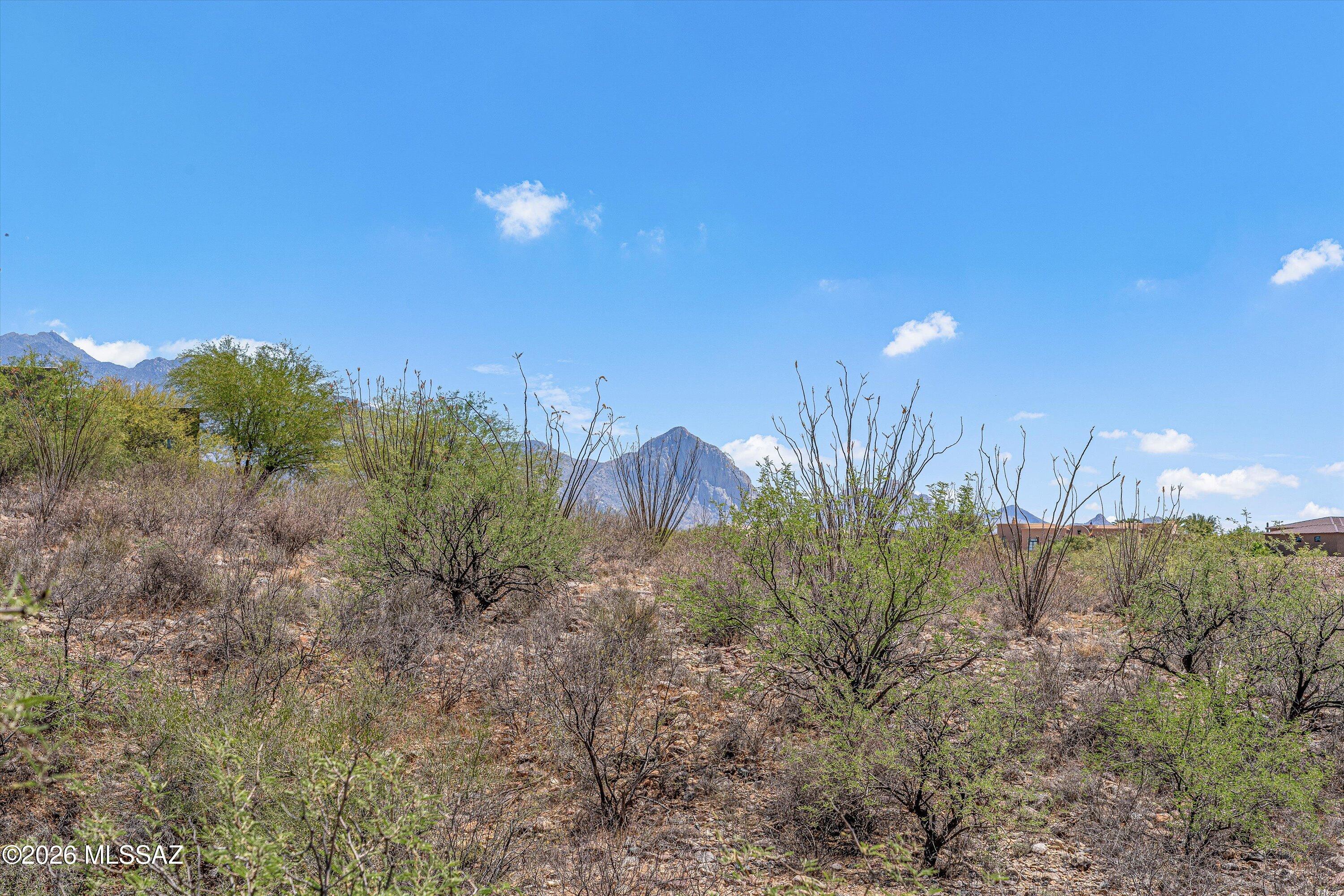 Madera Foothills Estates - Land