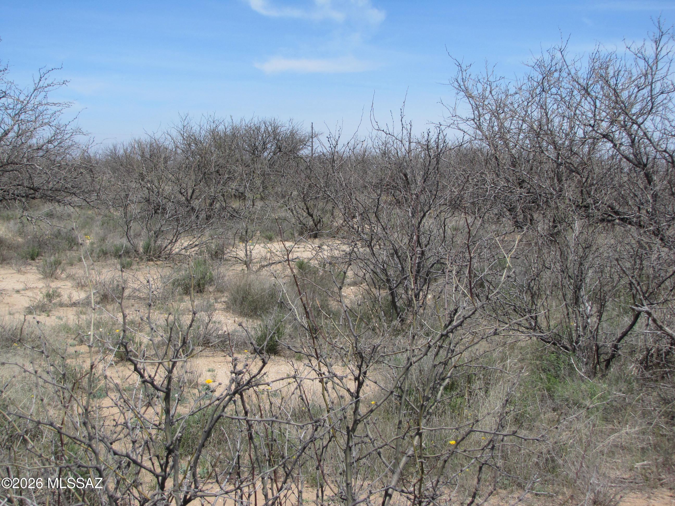 Almost an acre in this undeveloped area in Cochise, Arizona. Remote but easy access to Hwy 191 and I-10. Buyer(s) to determine exact location of parcel and develop access to it.