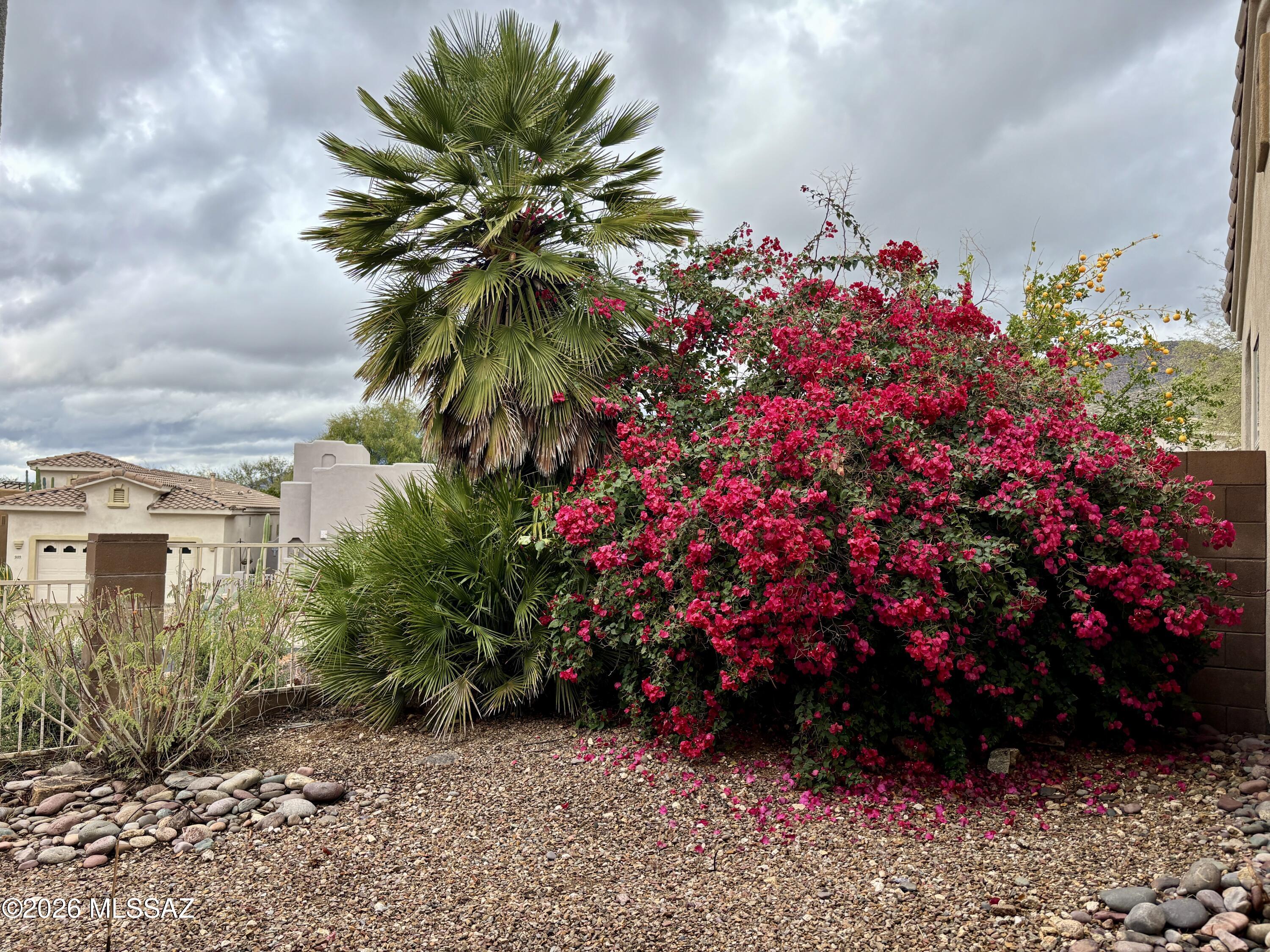 Pinnacle @ Sabino Springs resub (1-62) - Residential