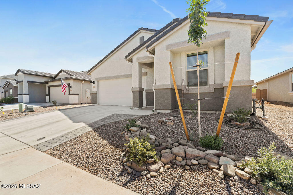 Saguaro Bloom SQ20180540069 - Residential