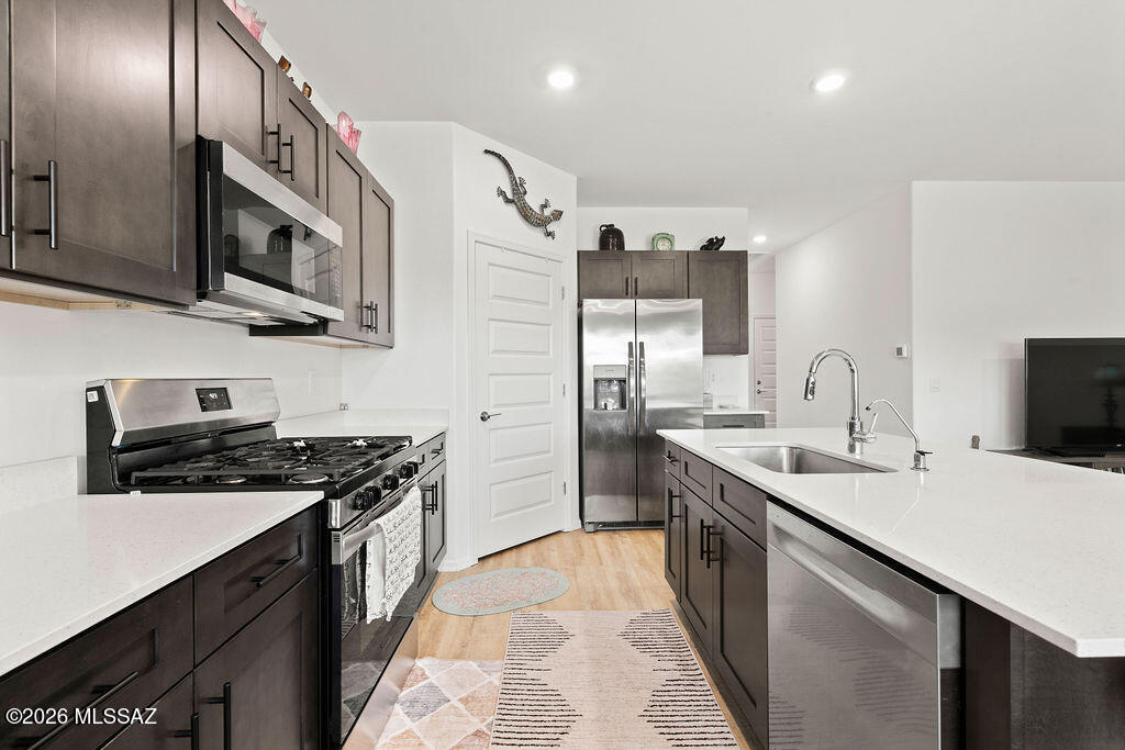 Saguaro Bloom SQ20180540069 - Residential