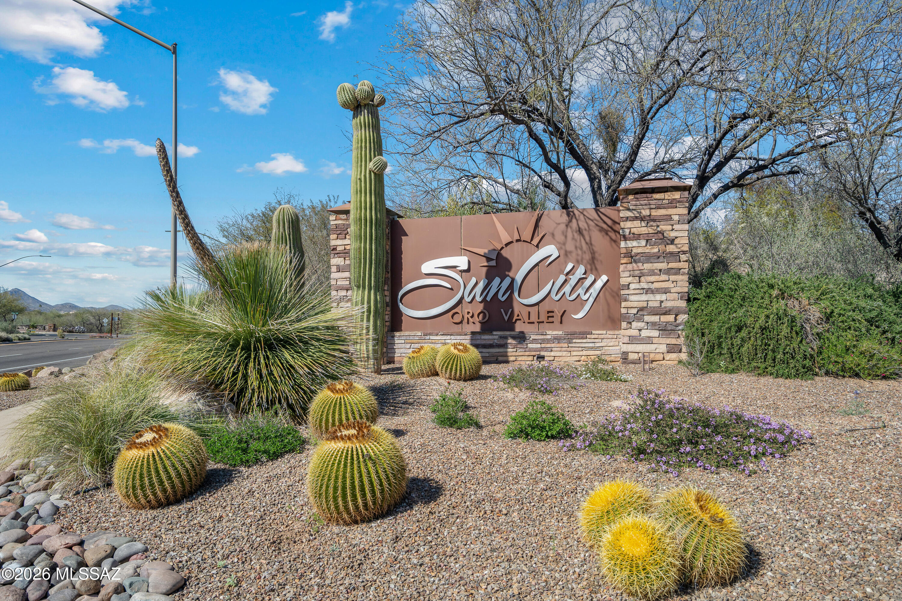 Sun City Vistoso Unit 15(1-126) - Residential