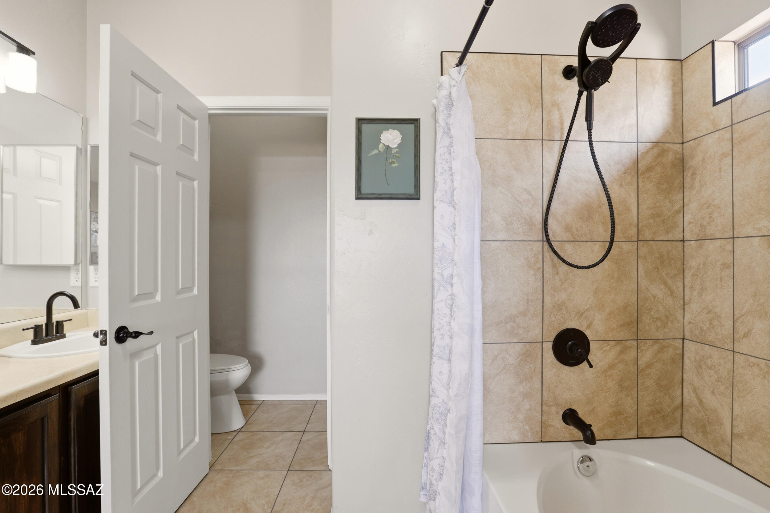 Rincon Vista at Rita Ranch (1-200) - Residential