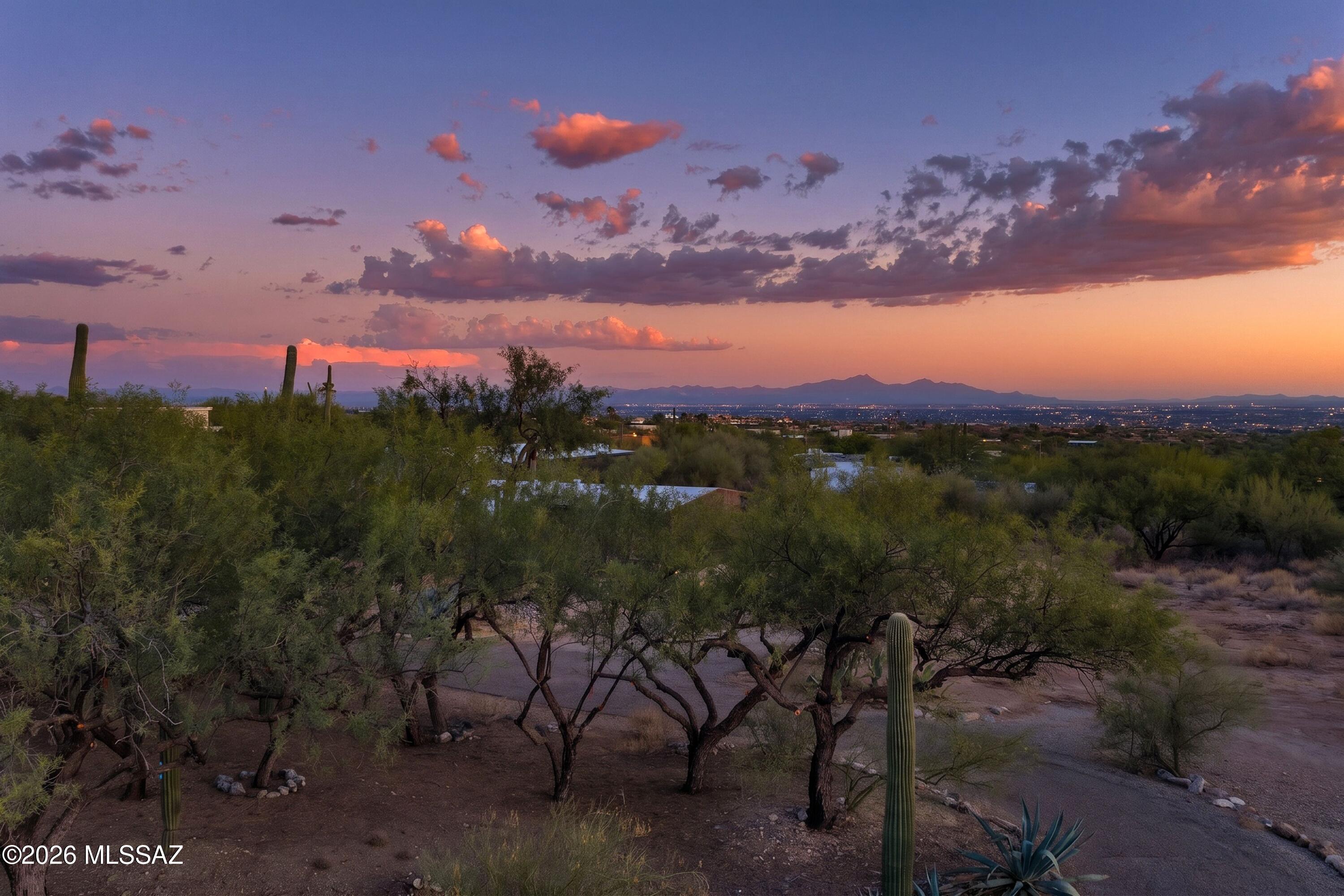 Coronado Foothills Estates - Land