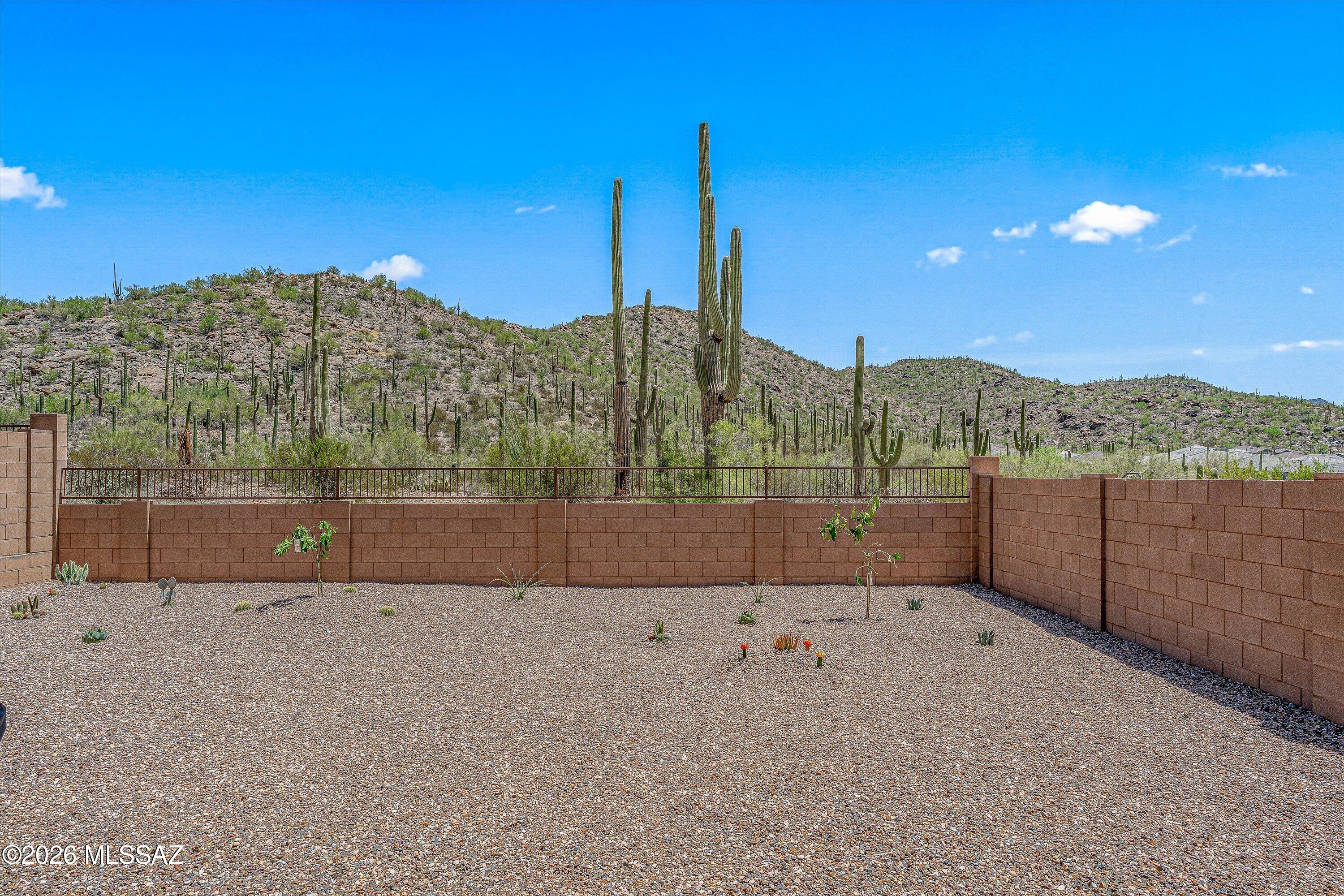 Saguaro Reserve II at Dove Mountain - Residential