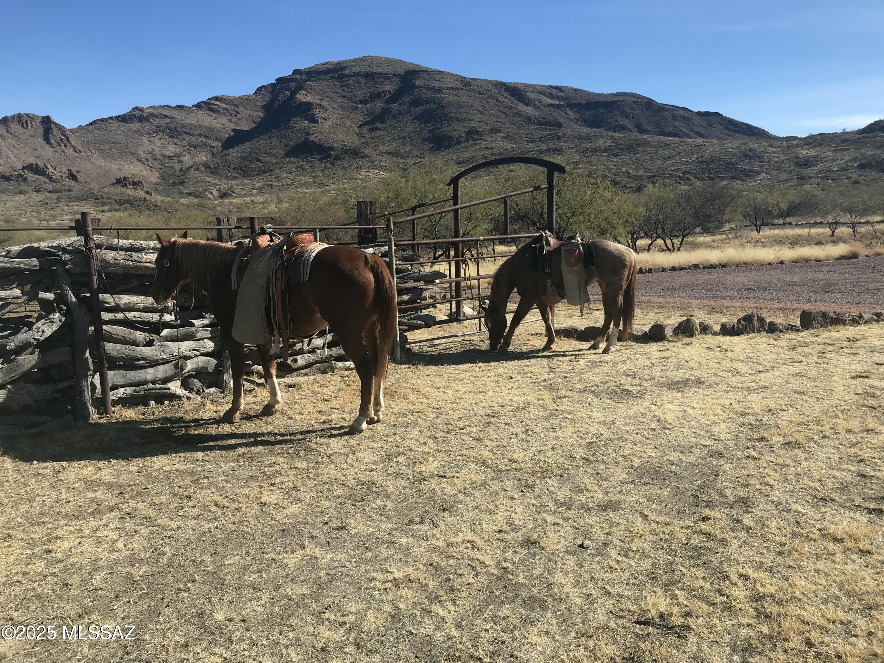 Morning Star Ranch - Residential