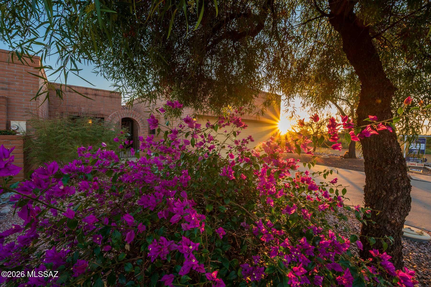 Fairfield La Cholla Hills - Residential