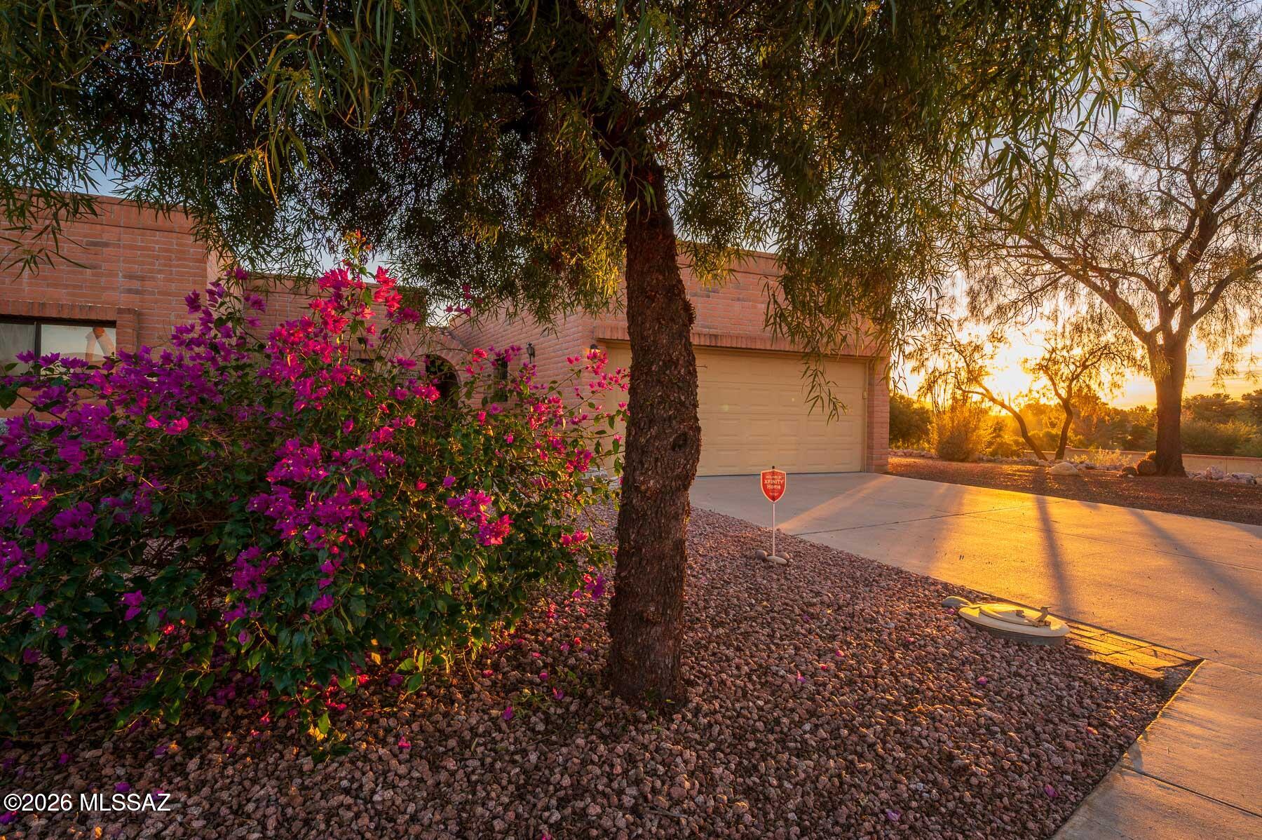 Fairfield La Cholla Hills - Residential