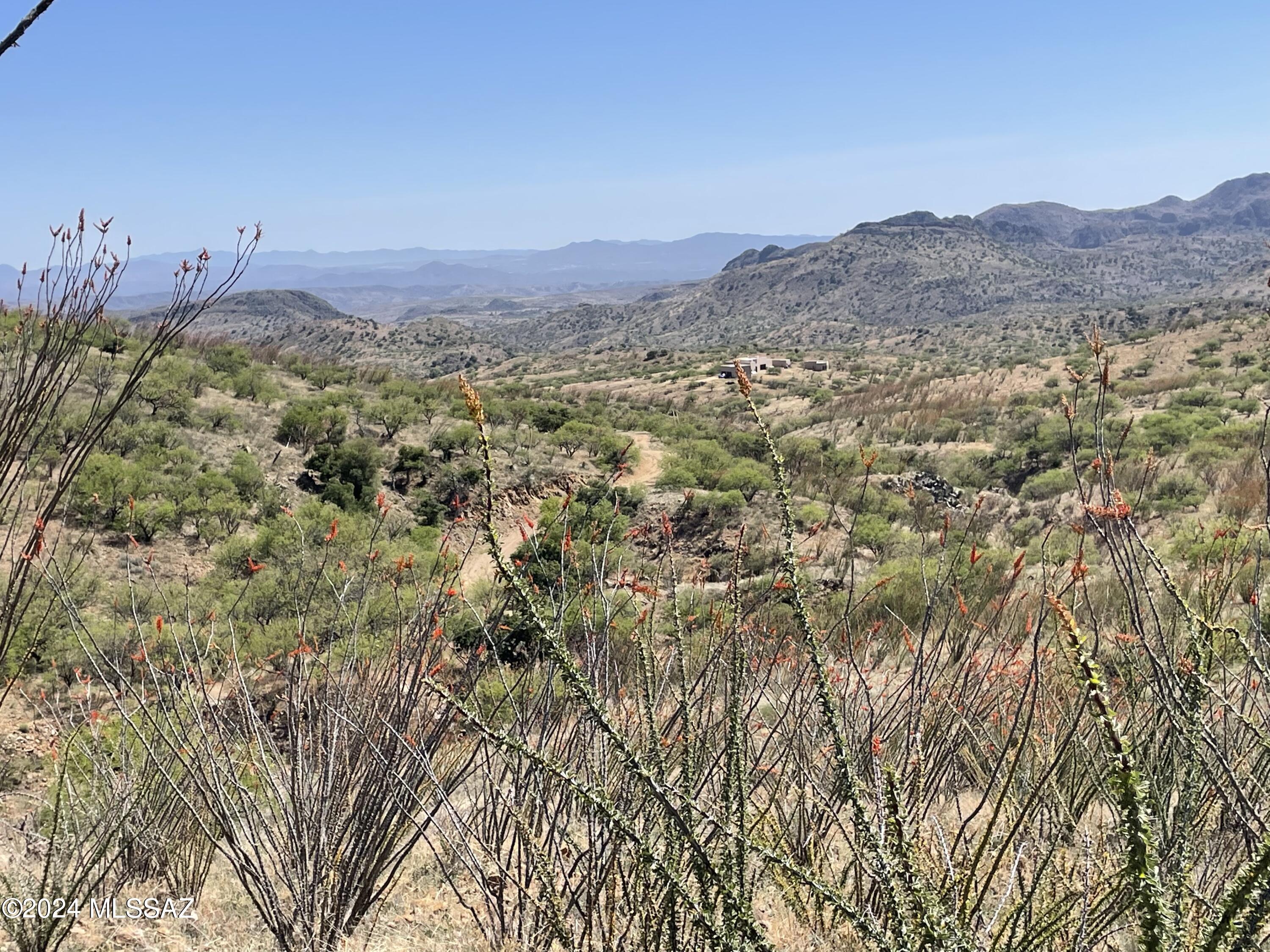 MOTIVATED SELLER!! EXCEPTIONAL SALERO RANCH VIEW LOT!! Arguable the finest views on the entire ranch from this very high set hilltop building site bordering 148,000 acres of Coronado National Forest! Extreme privacy from this 53 acre parcel at 5,000 feet elevation providing  four mild seasons! Underground electric protects the spectacular long views. The hiking, horseback riding and mountain biking are amazing. A small pond just off the parcel attracts the abundant wildlife for your enjoyment.
